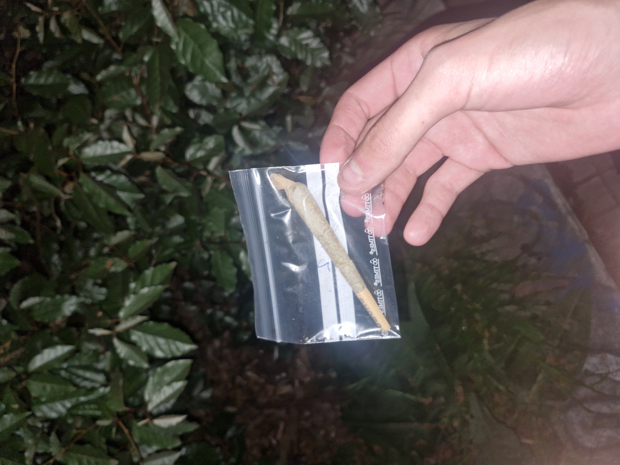 Individual spotted with suspected marijuana in Madrid