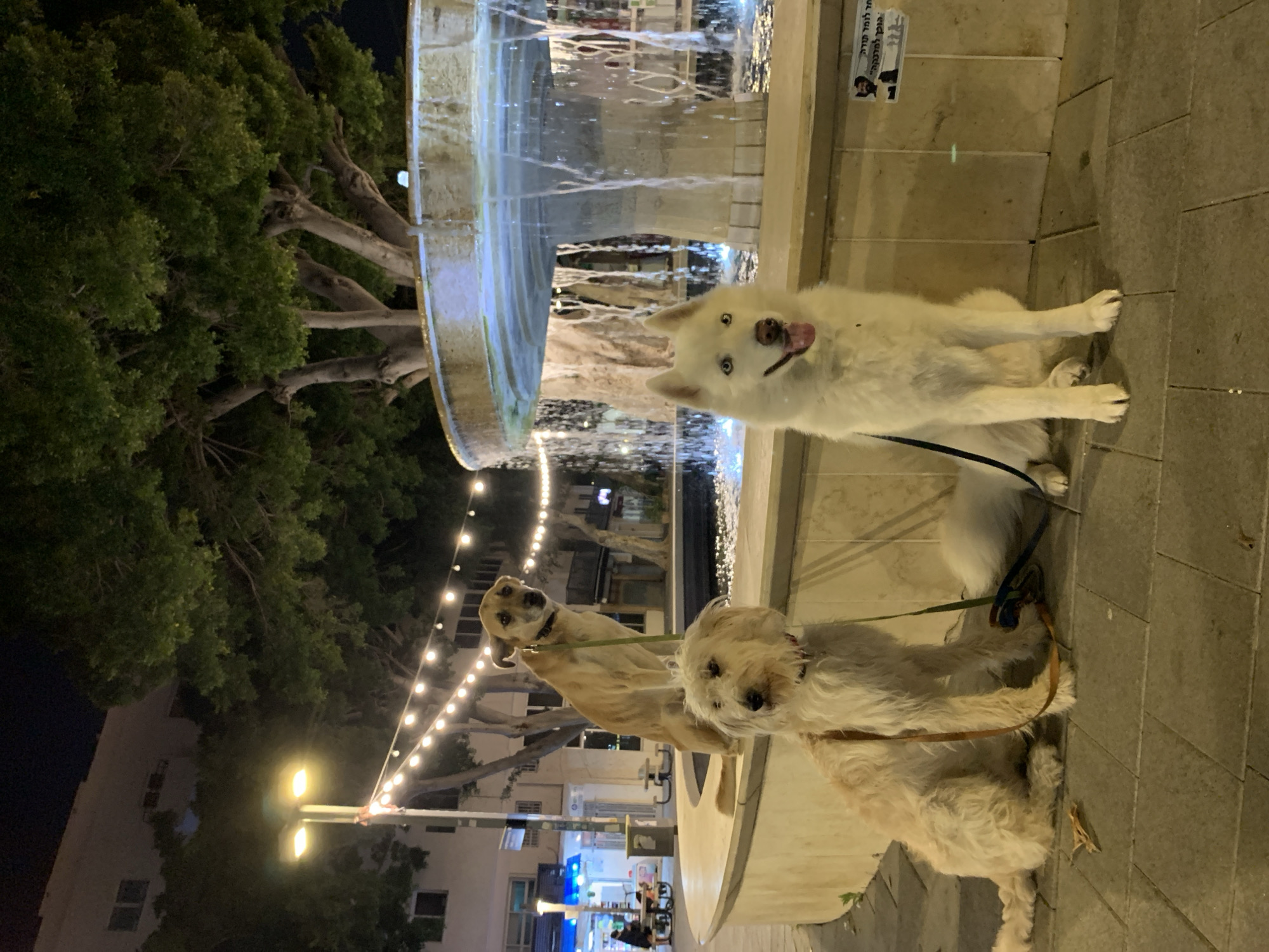 Evening life documented across Tel Aviv neighborhoods