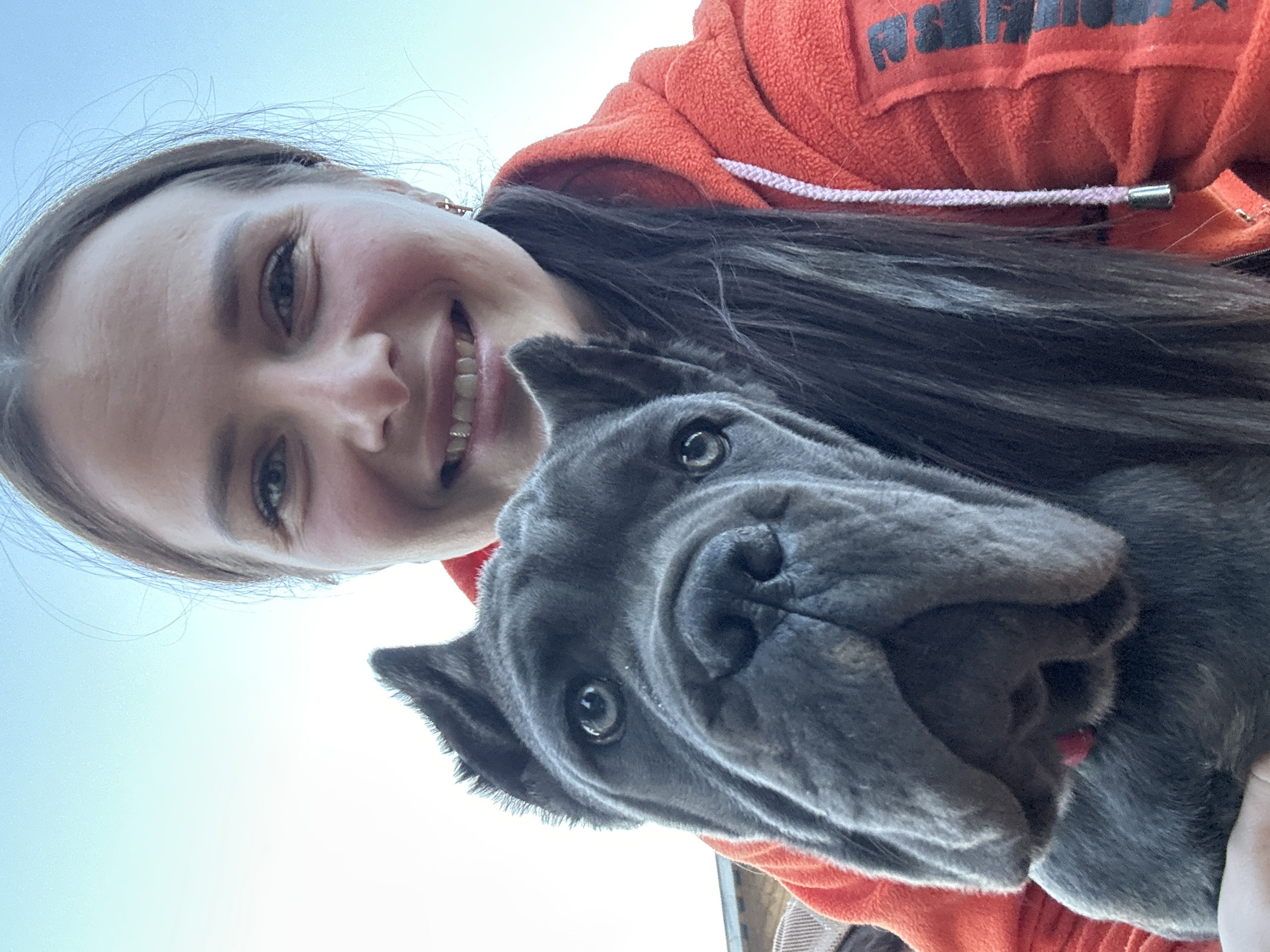 Woman photographs with Cane Corso dog in Rusalevka