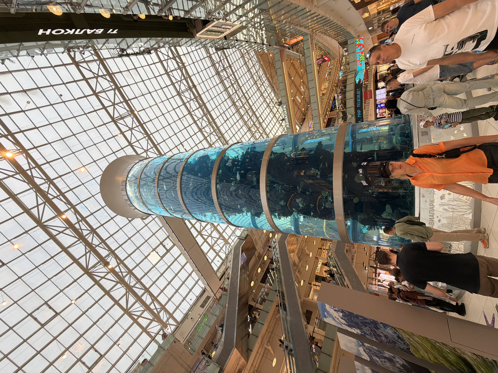 Mall aquarium, glass towers, and street parking on a July afternoon