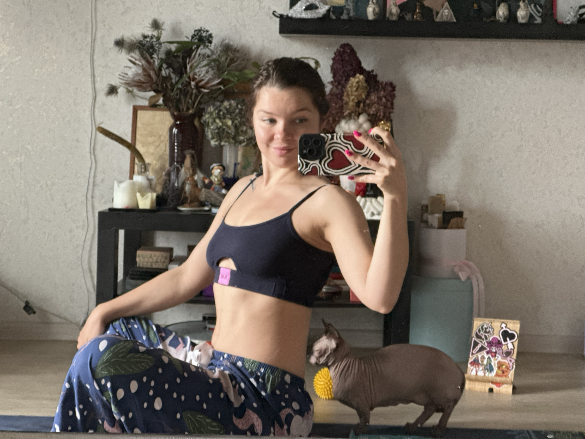 Morning yoga session with cats documented in Vladimir home