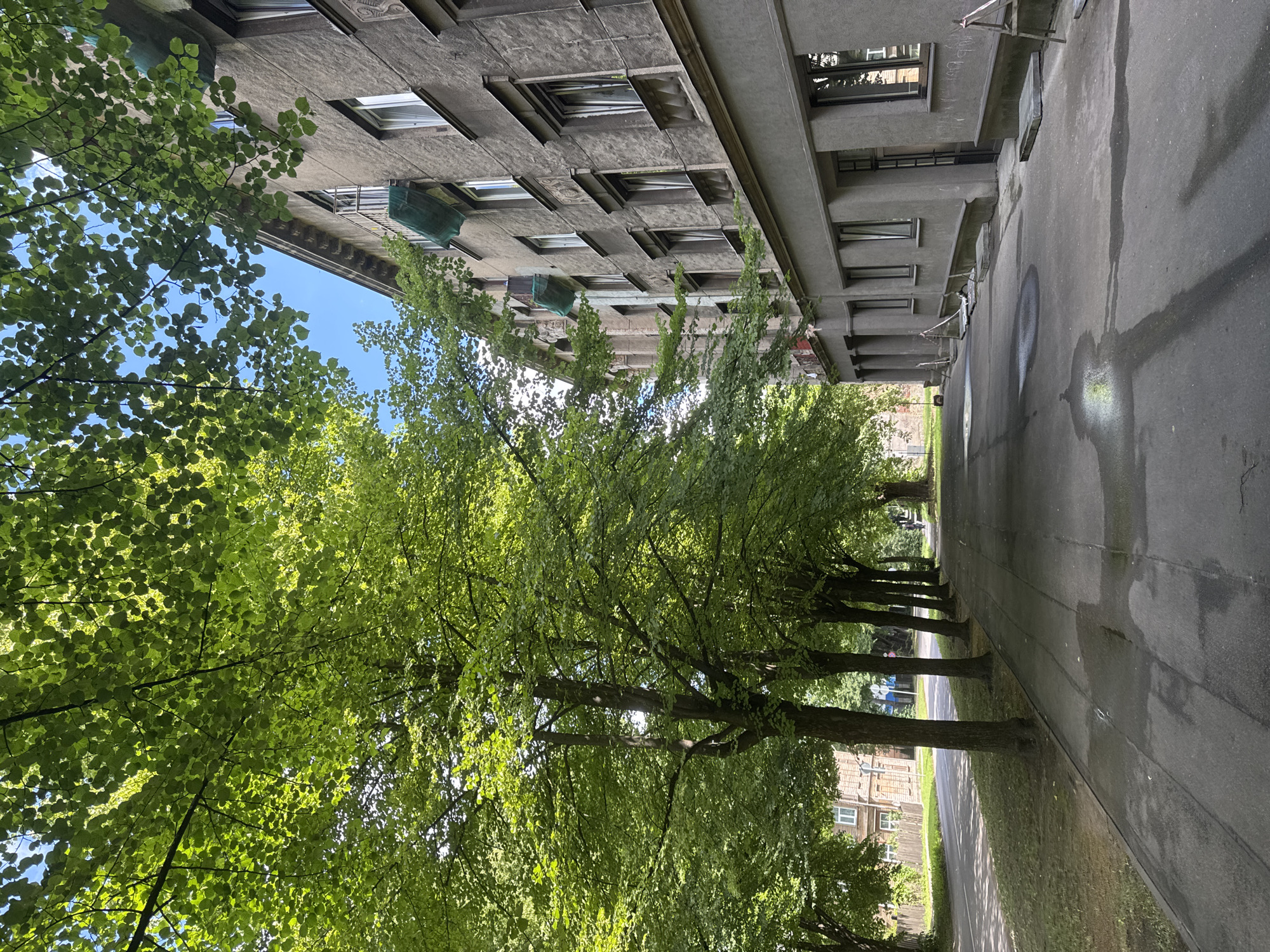 Streets, architecture, and a portrait from a Riga summer morning