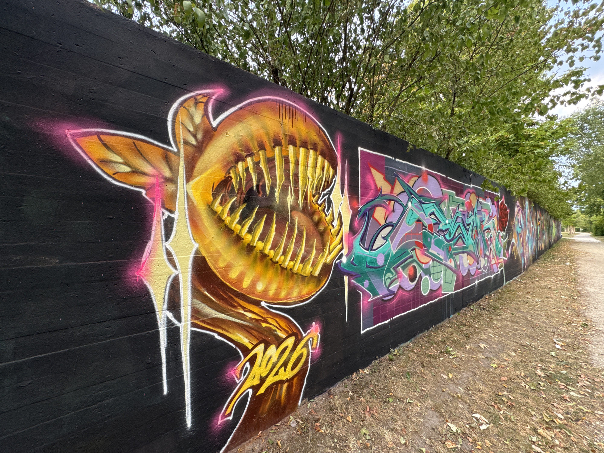 Street art and a painted bench along an Augsburg wall