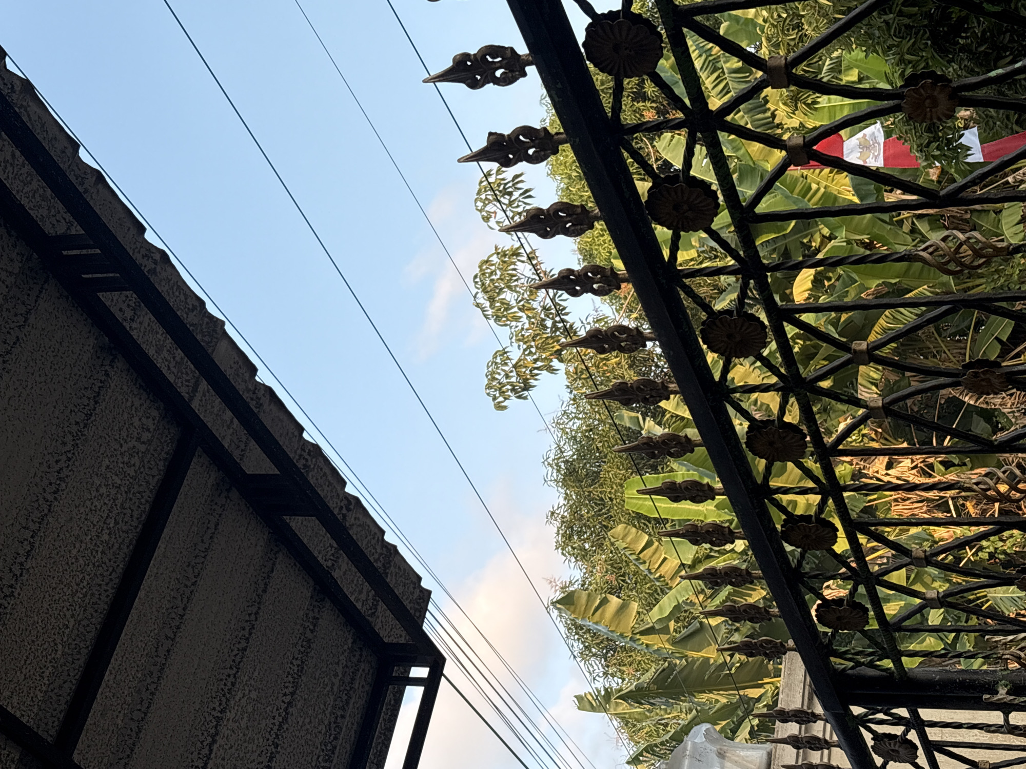 Around a Palimanan fence: flags, potted plants, and open sky