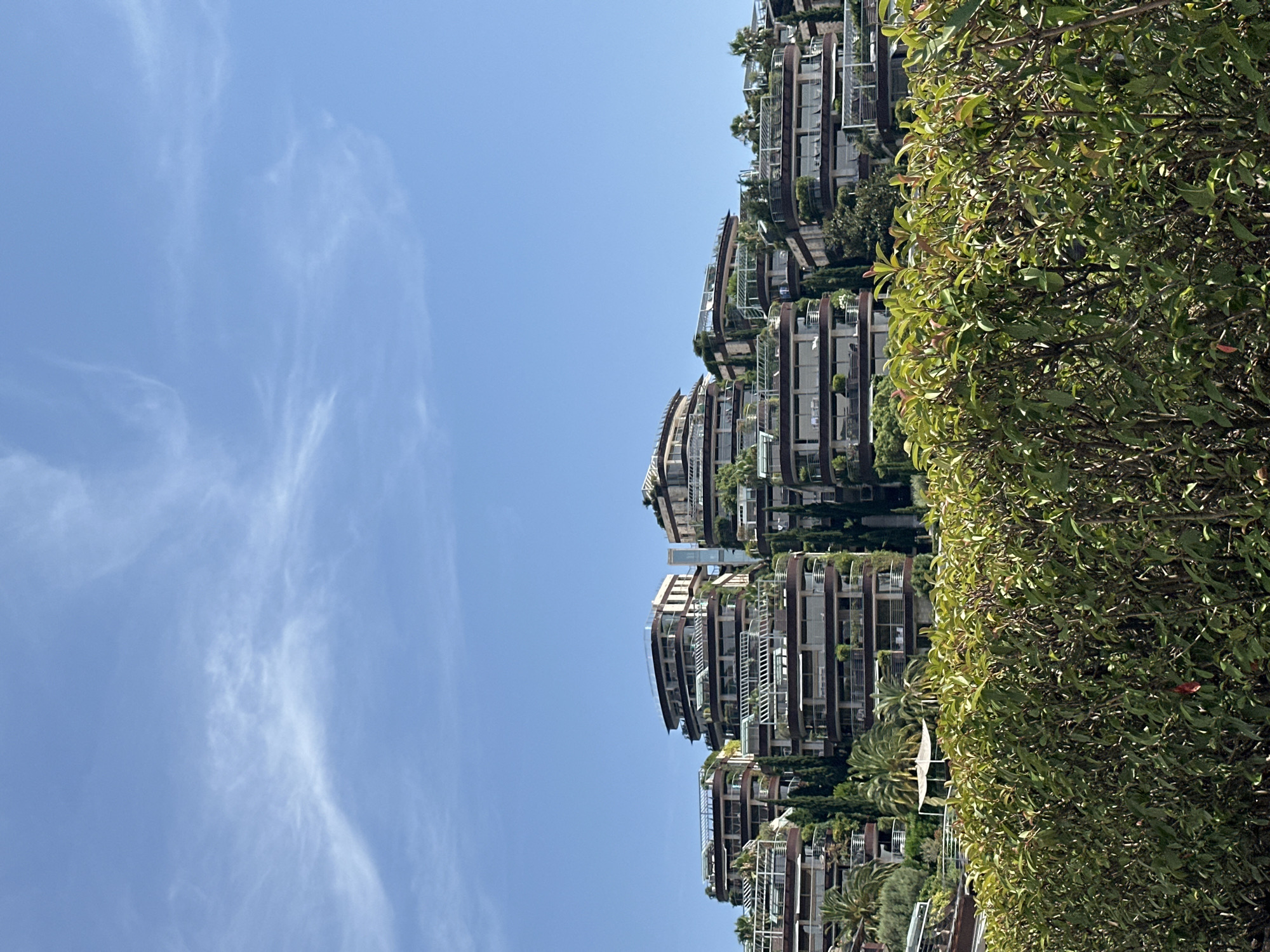 Budva resort coast: greenery, yachts, and a parasail