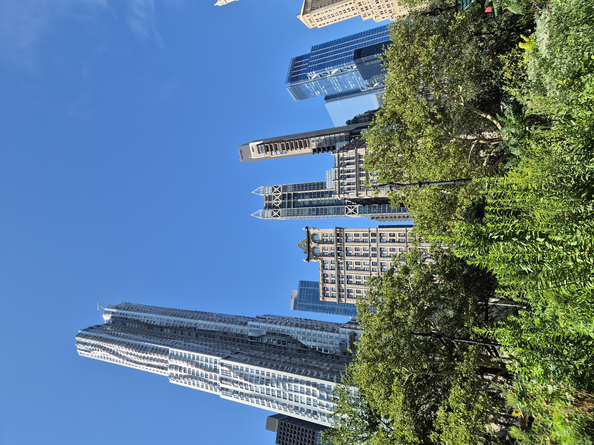 Park-framed views of Lower Manhattan's Financial District skyline