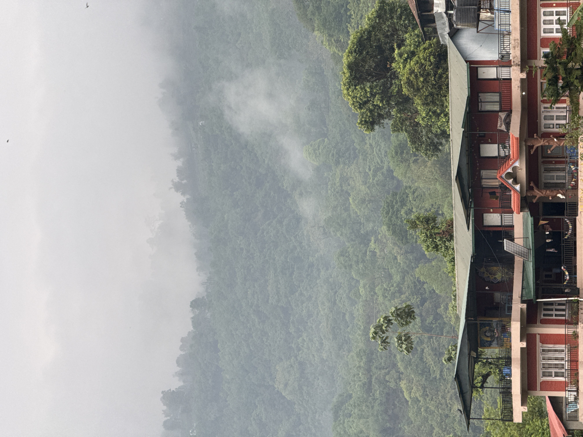 Quiet morning moments captured across Pokhara, Nepal