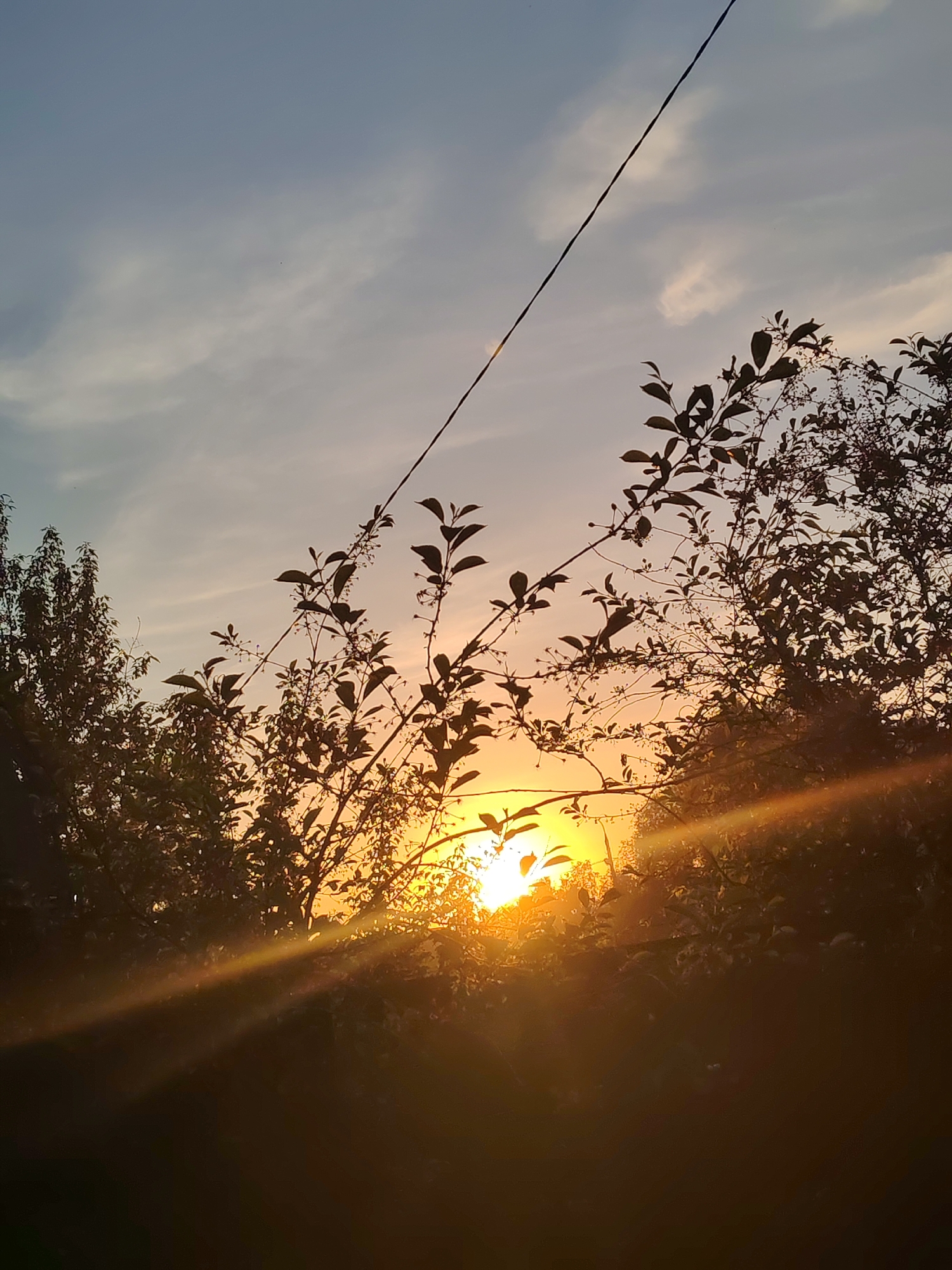 Evening nature moments documented in Podolsk, Russia