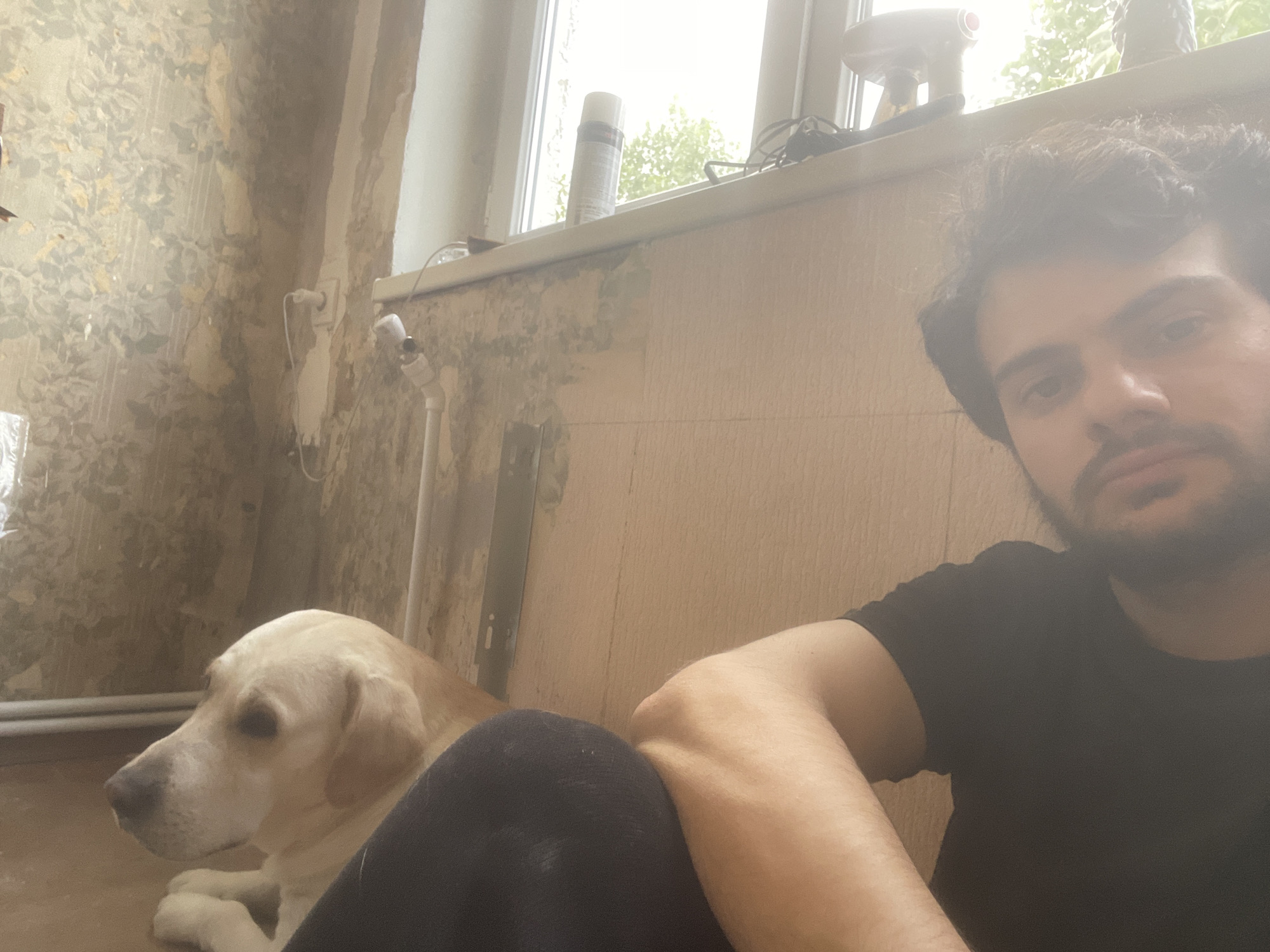 Man and dog spend afternoon in Tbilisi renovation site