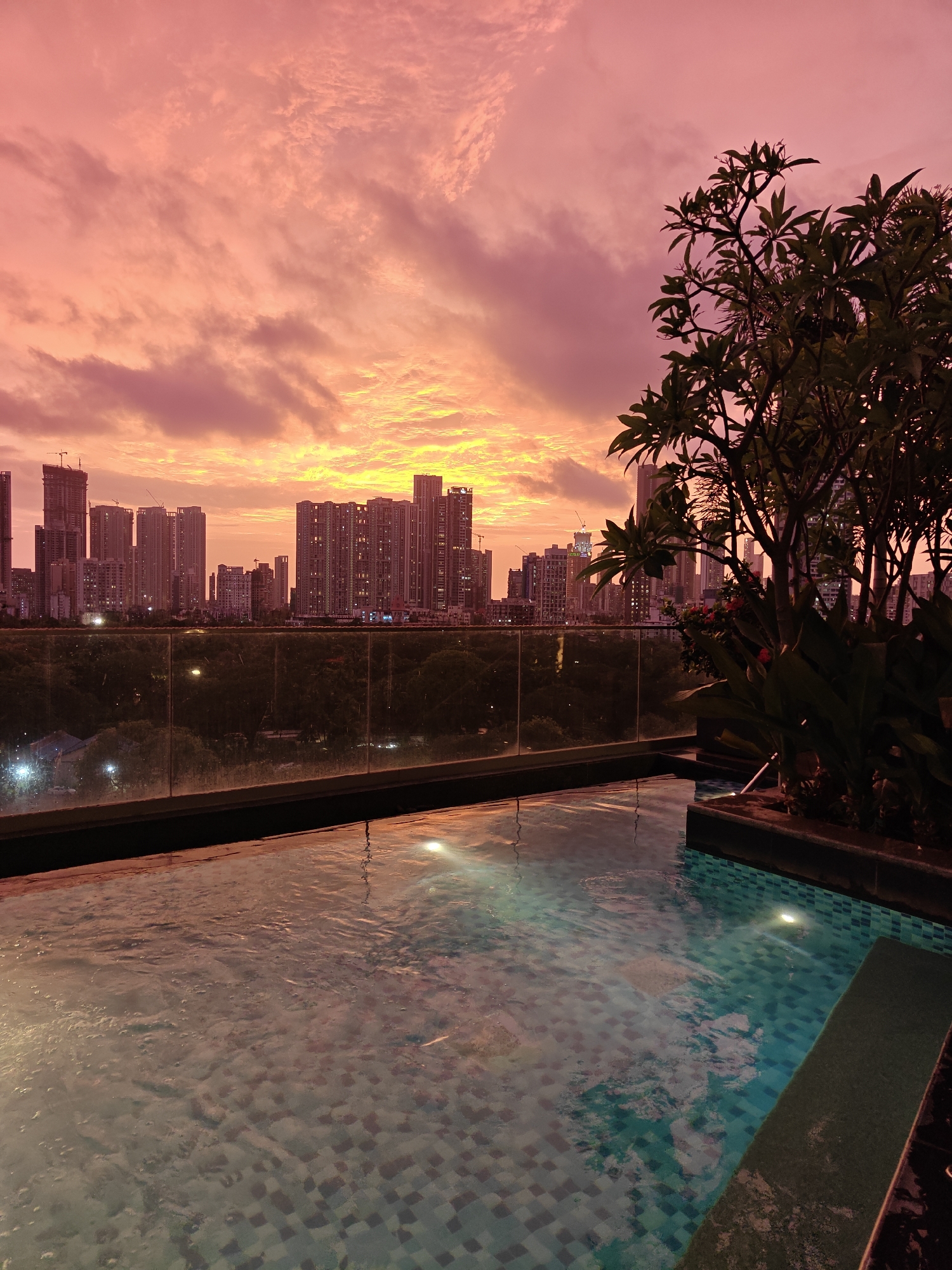 Mumbai rooftop pool at sunset, book on the deck