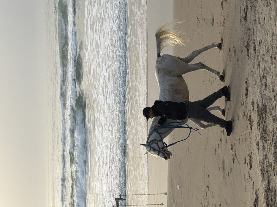 Ordinary beach day captured across Tel Aviv coastline