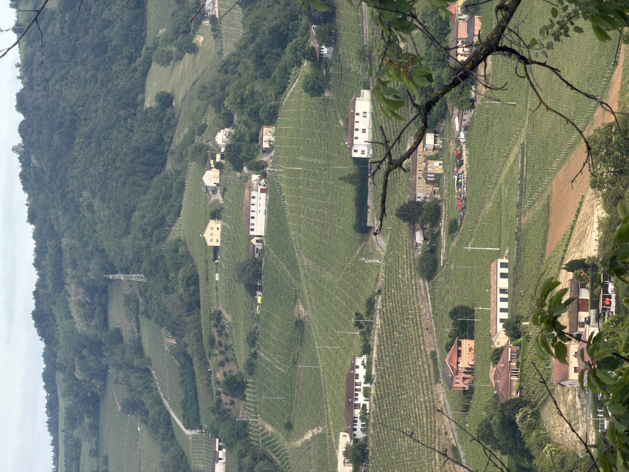 Terraced vineyards and winding roads documented in Santo Stefano Belbo