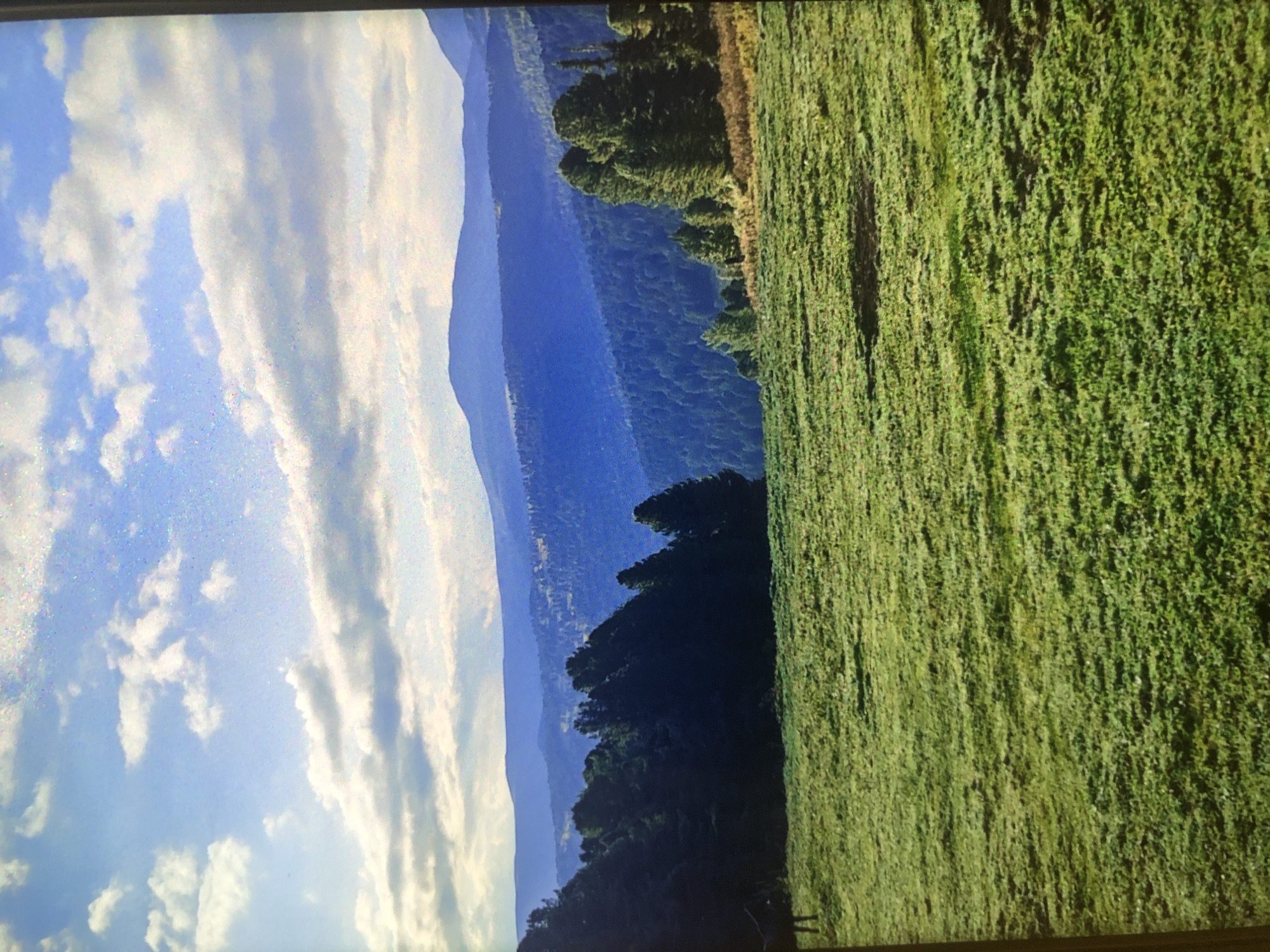 Mountain camping and horseback activities documented across unknown terrain