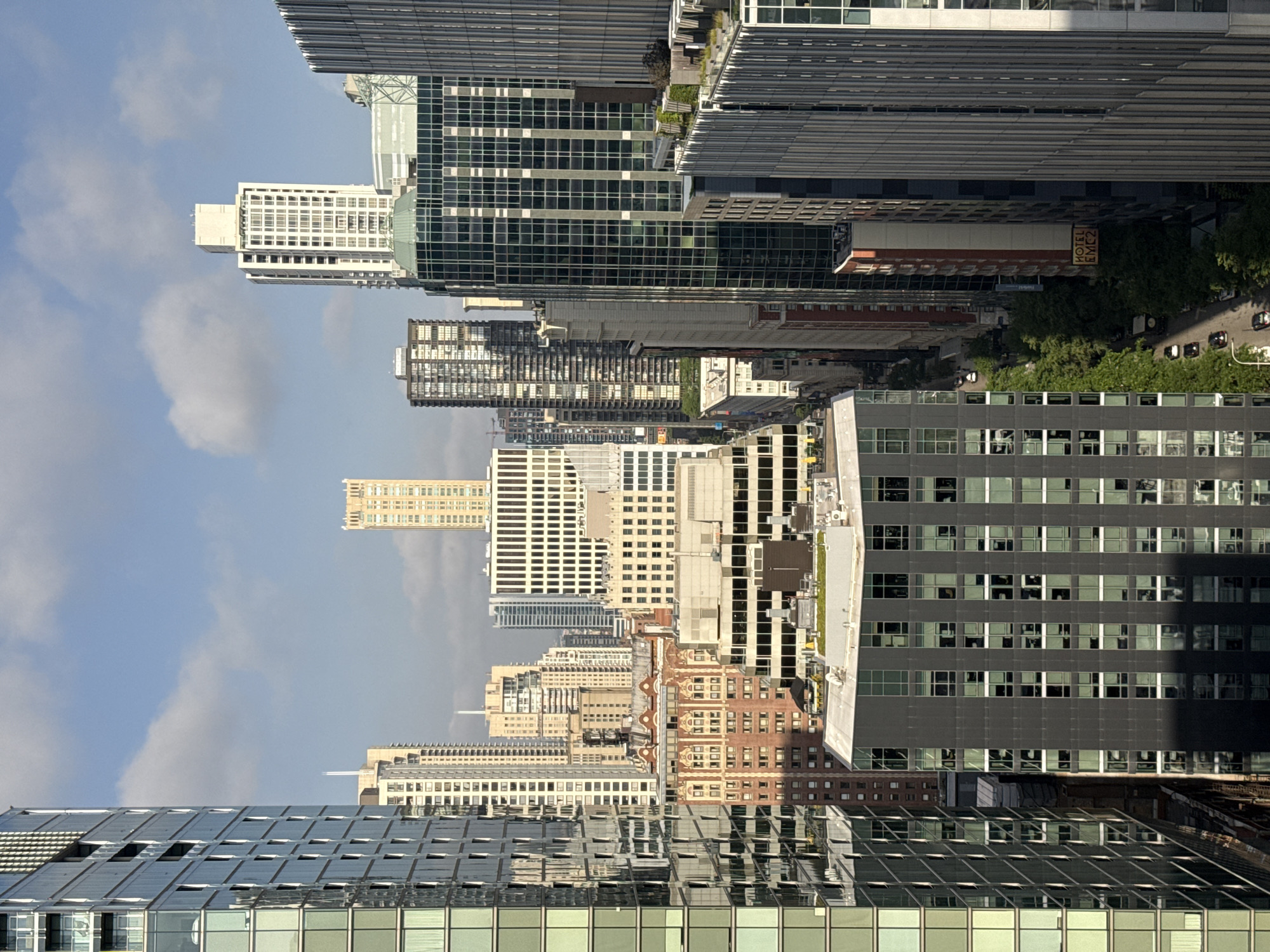 Chicago skyline and anthurium blooms from a high-rise vantage point