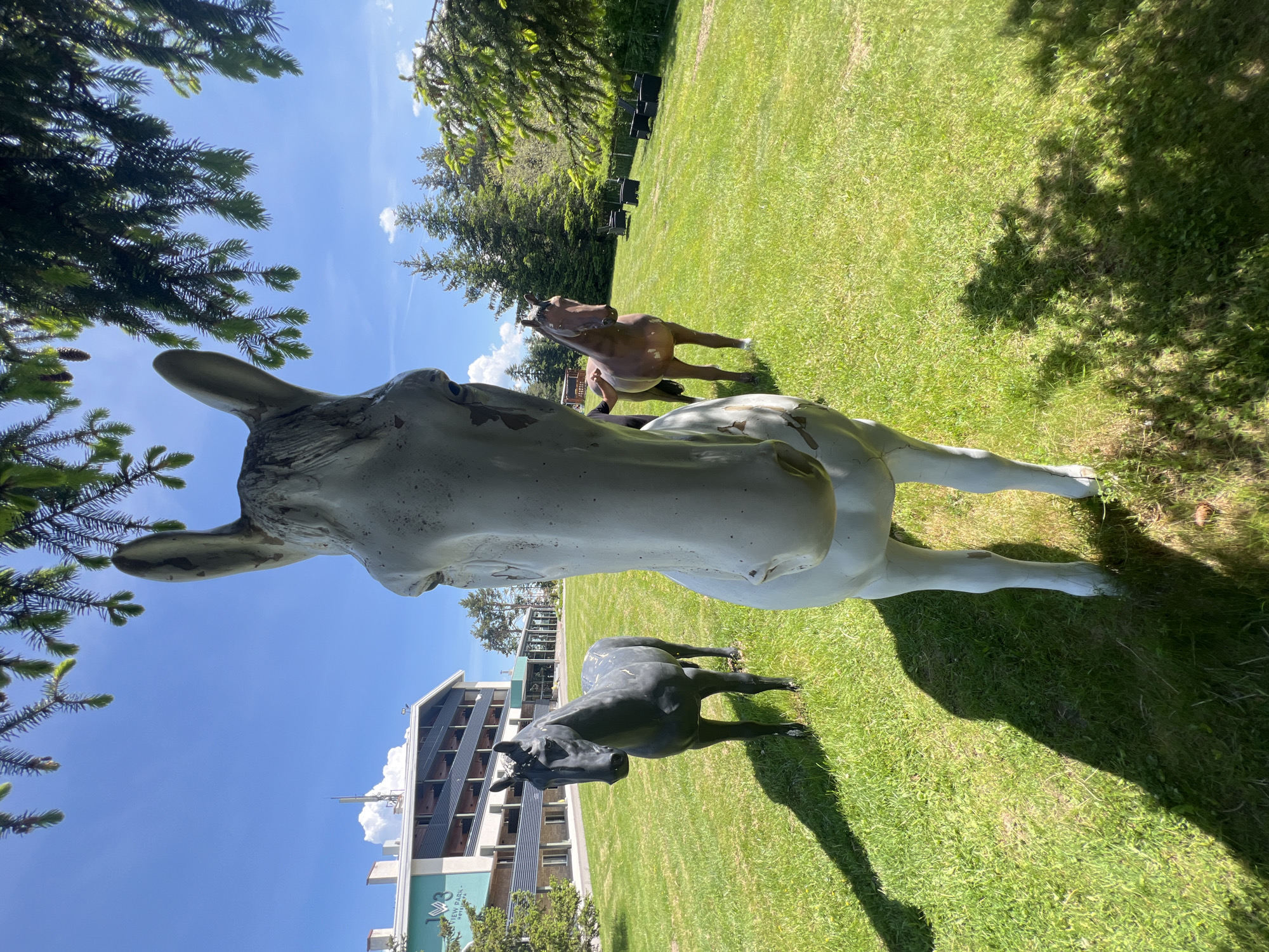 Visitors encounter life-sized horse statue installation on hillside