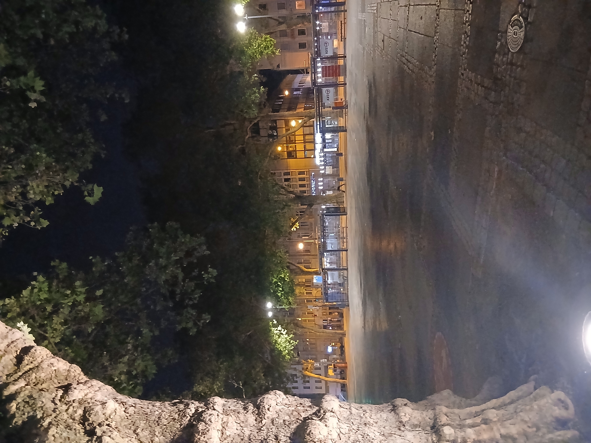 Cologne's Neumarkt at night, trams and lit trees