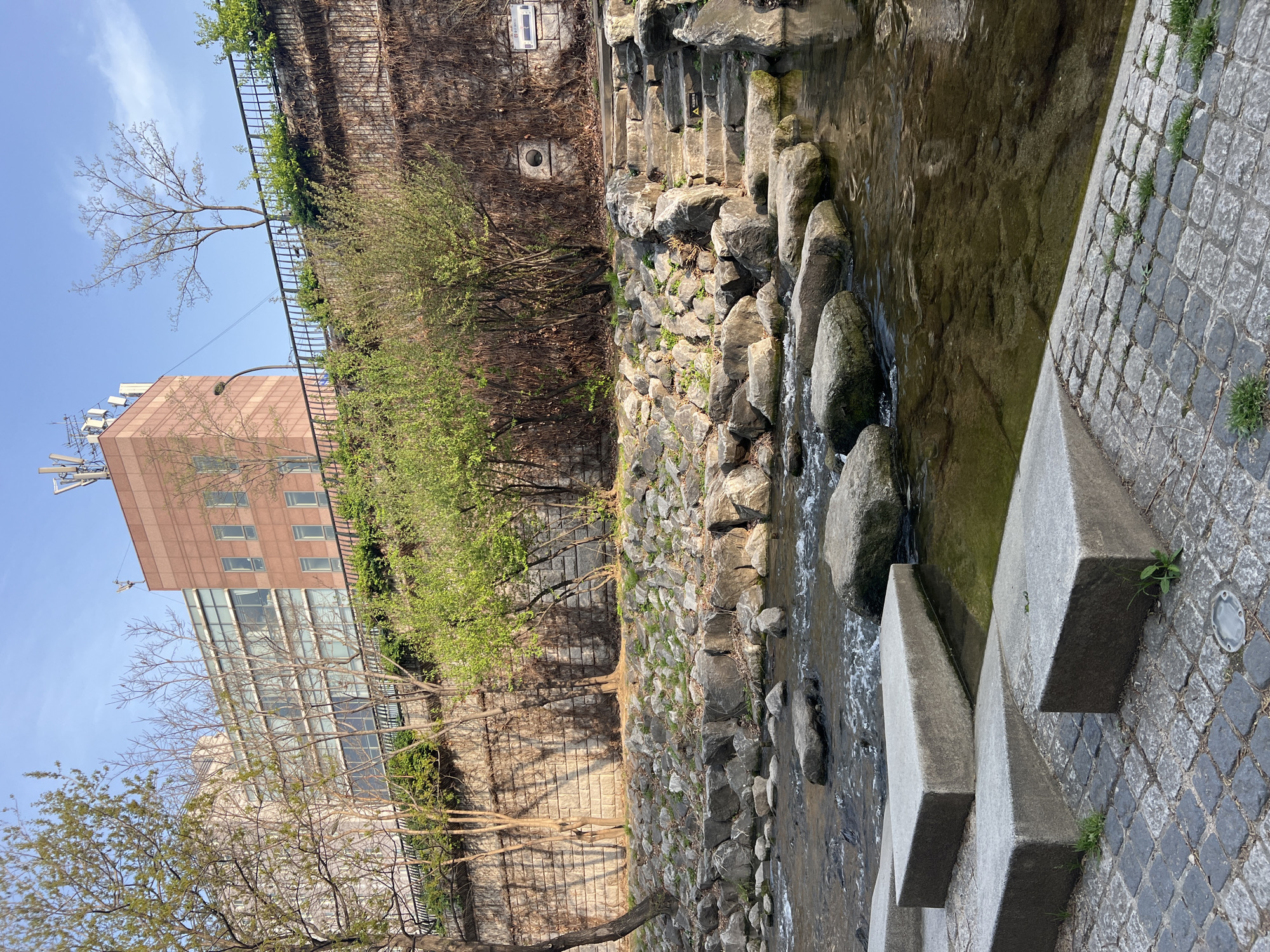 Cheonggyecheon Stream section documented in central Seoul