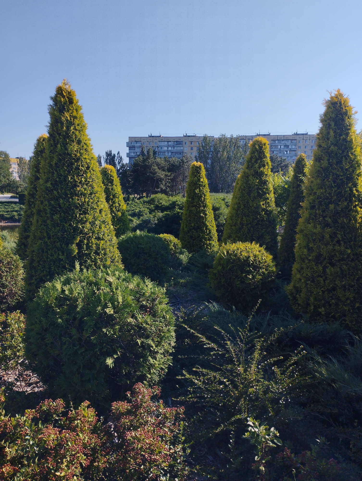Afternoon exploring an urban park's paths, water, and plant life