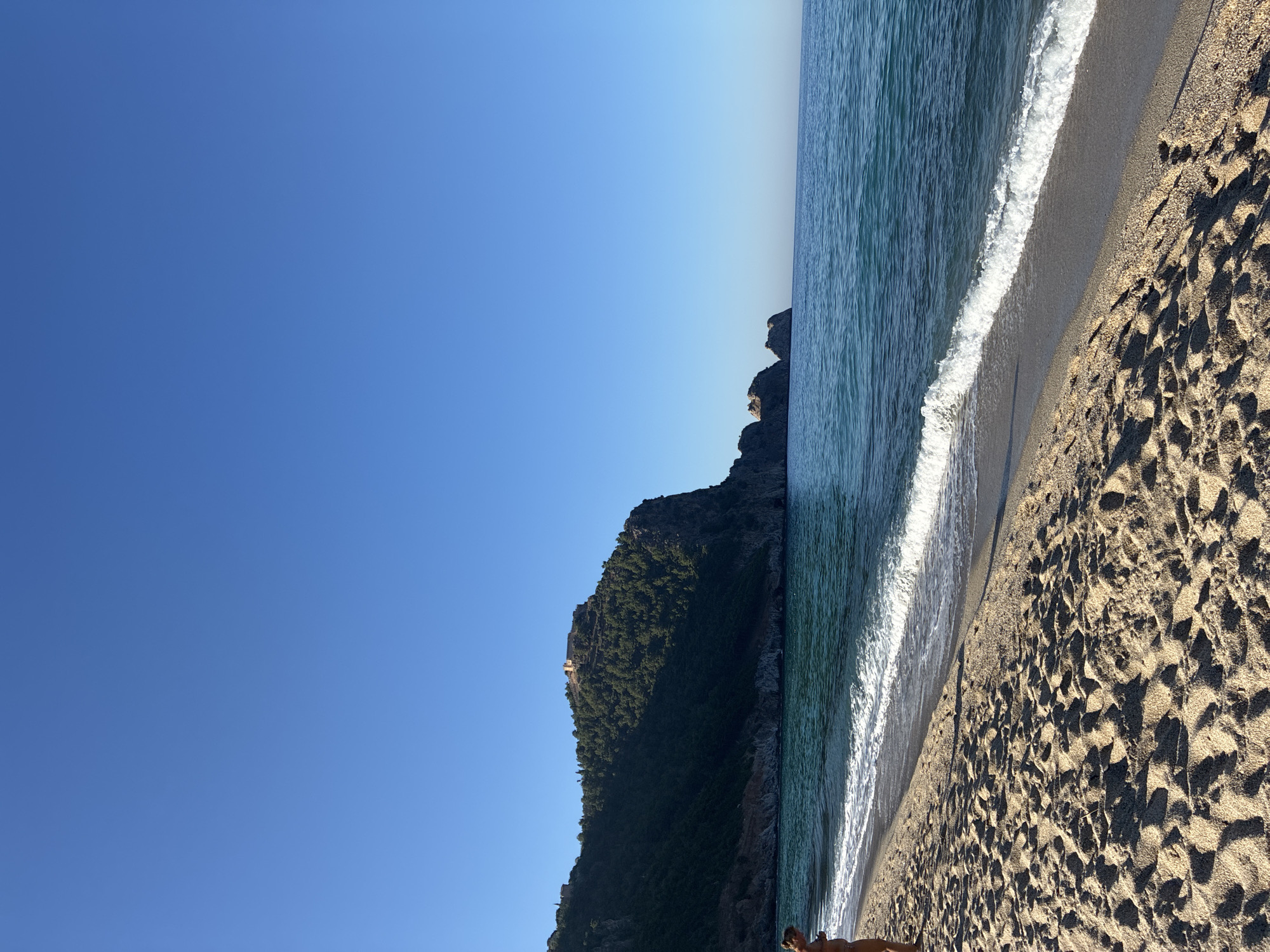 Alanya beach morning: sun, sea, and street cats