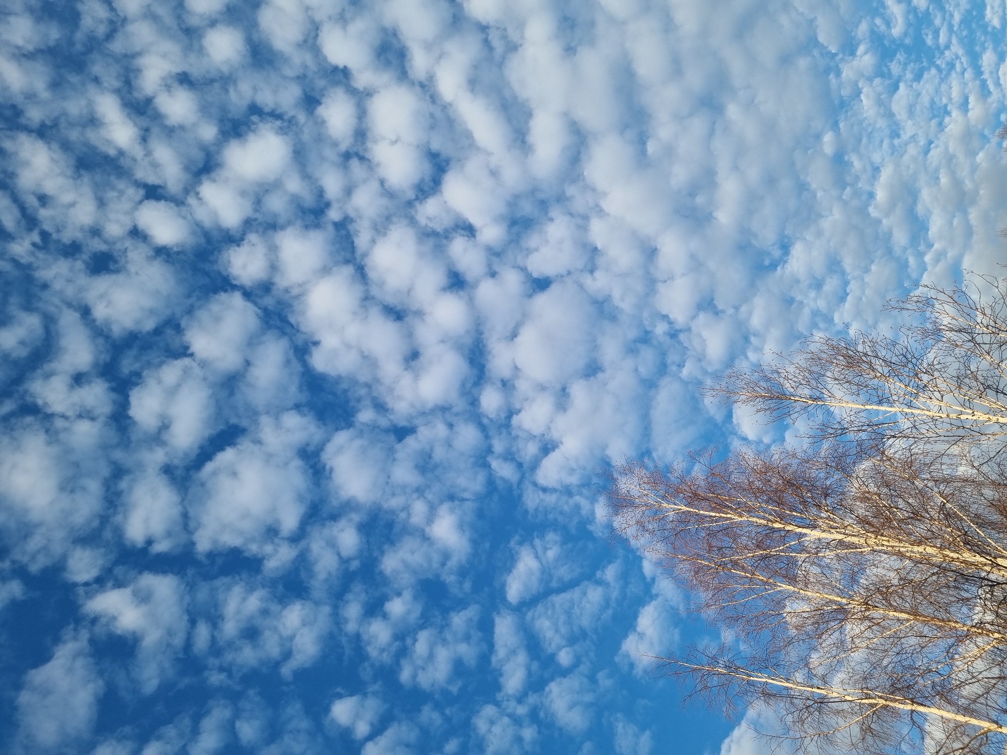 Spring sky with clouds photographed in Kemul, Russia