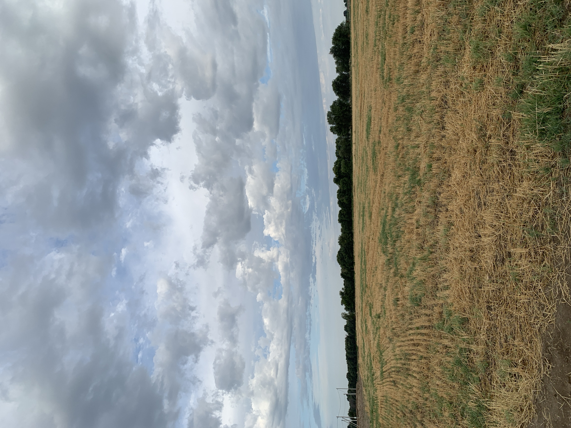 Post-harvest field under cloudy skies in rural Kyrgyzstan
