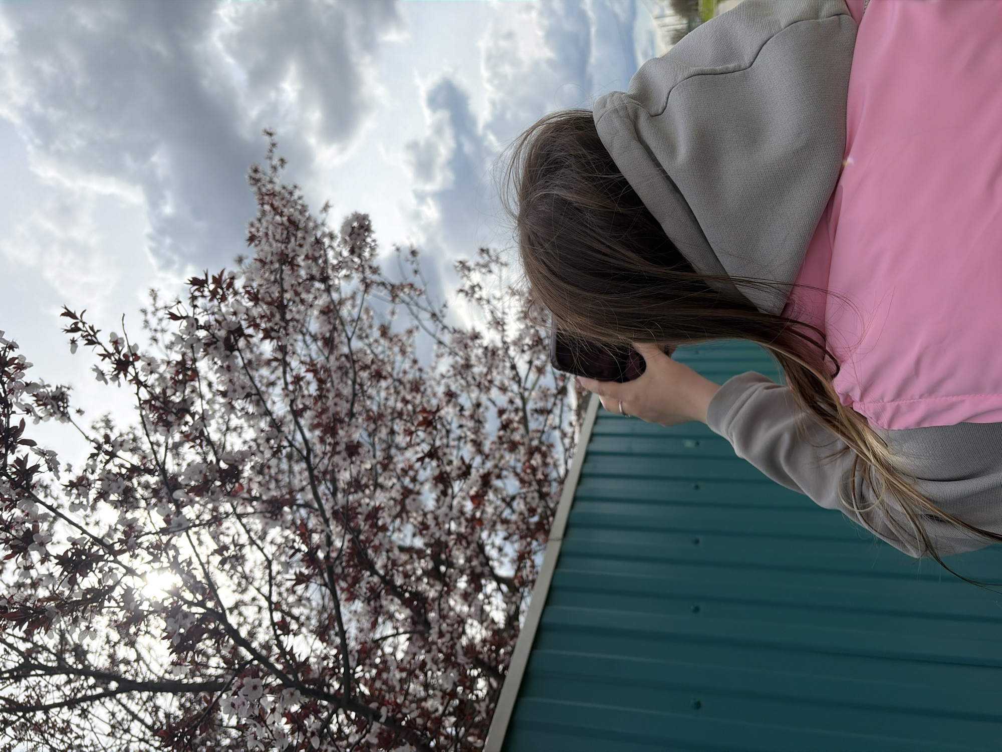 Women photograph spring blossoms during casual outing in Russia