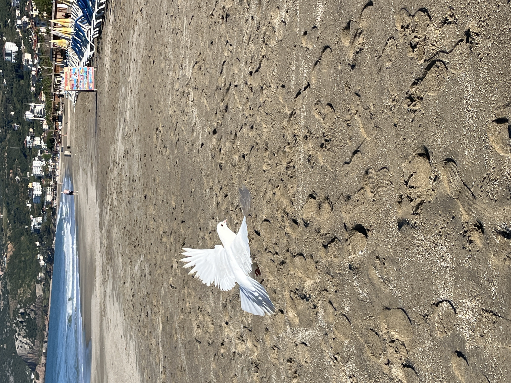 Early morning beach activity documented in Alanya, Turkey