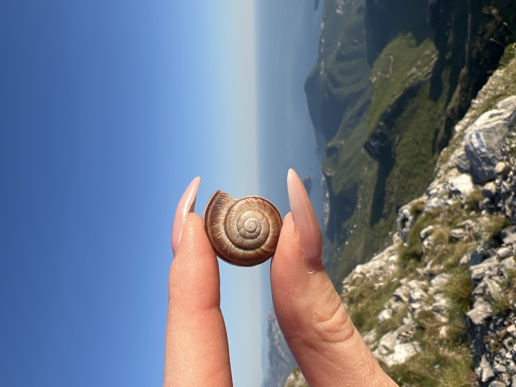 Hiker explores Montenegro mountains, collects snail shell specimen