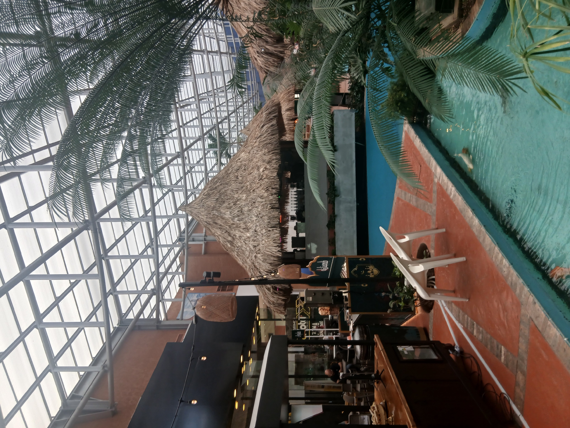Indoor koi garden documented in Pampatar, Venezuela