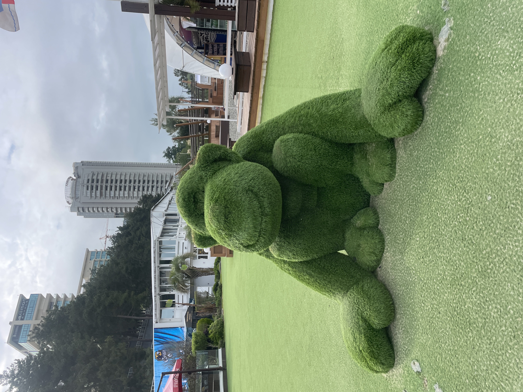 Sochi's tourist attractions and Olympic landmarks observed in morning