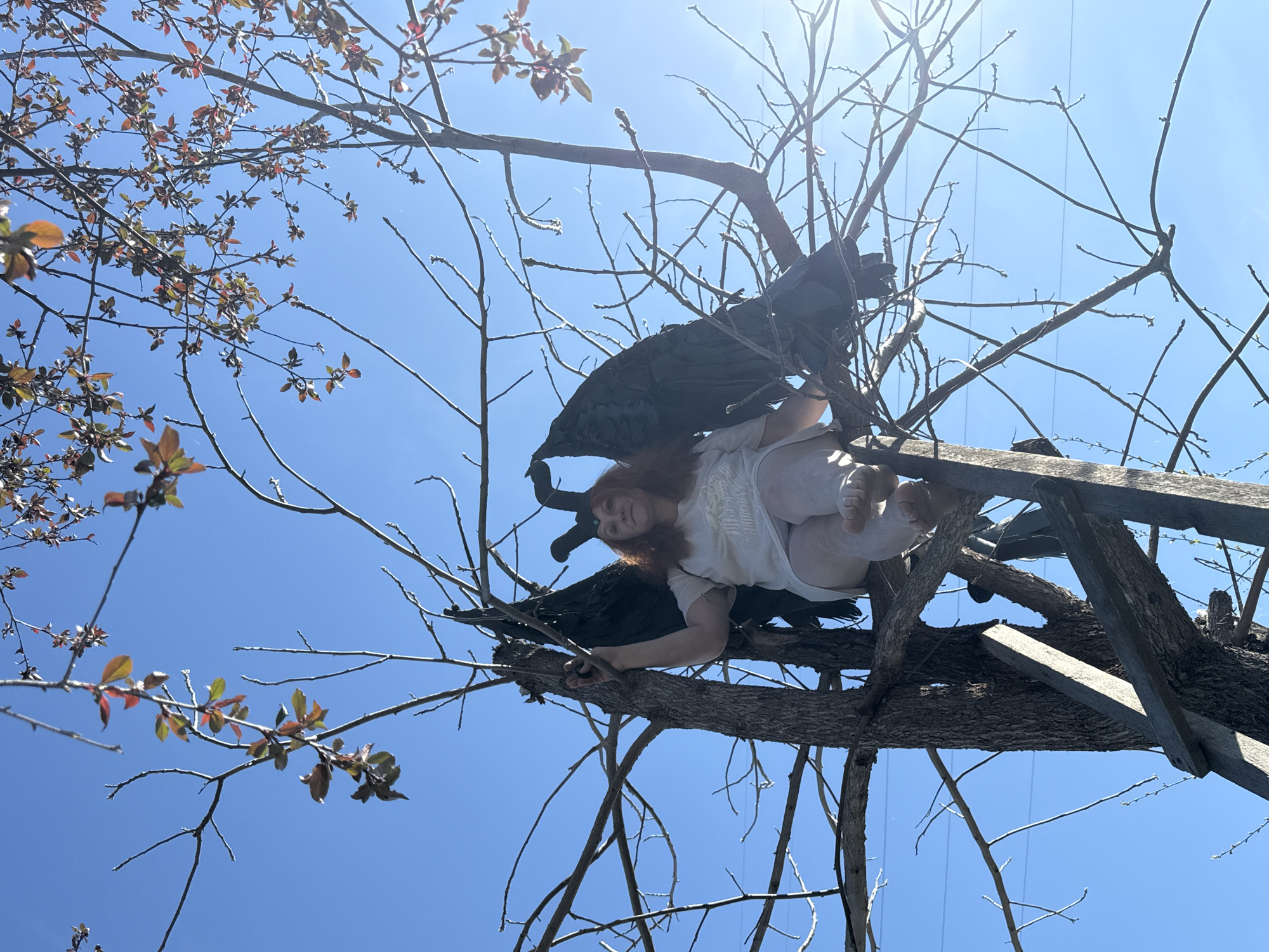 Winged woman spotted in tree branches in Chaikovsky, Russia