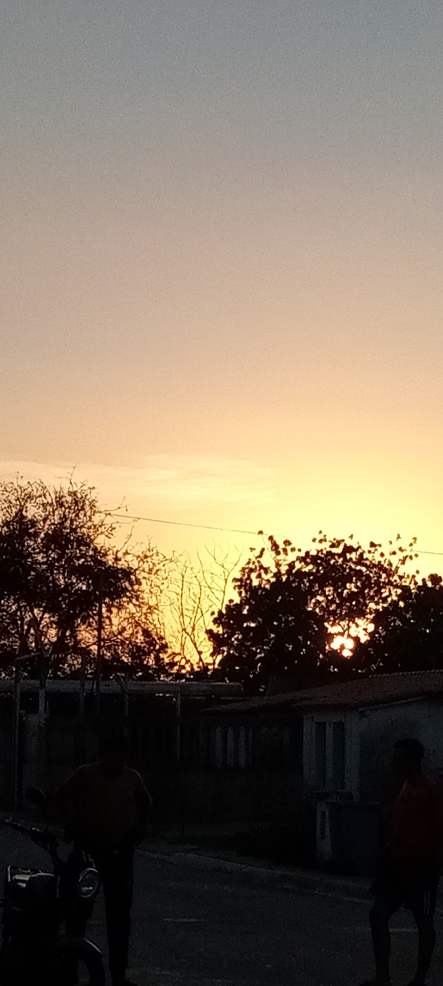 Multiple witnesses document sunset scenes across urban neighborhood