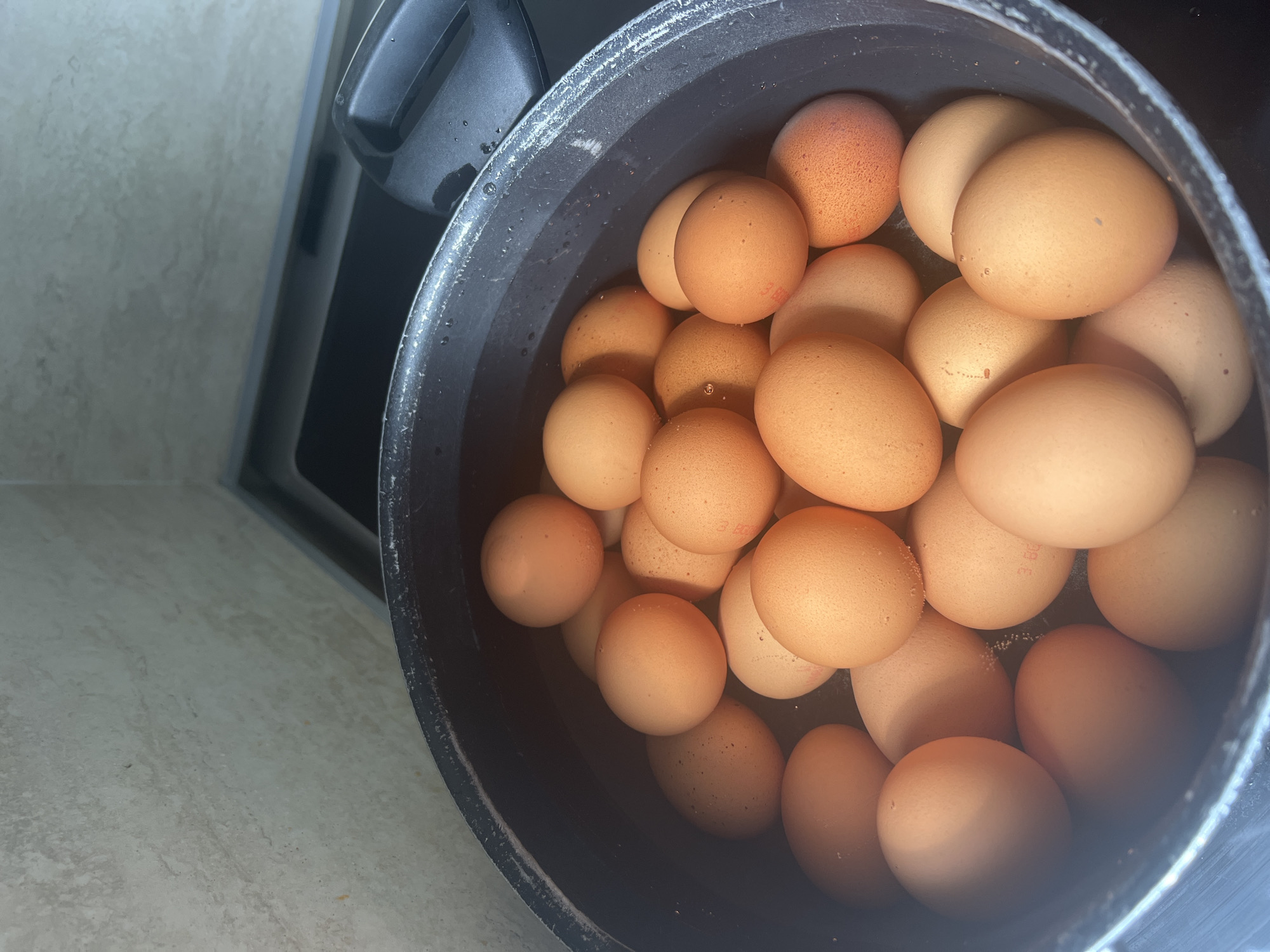 Eggs boiling in kitchen pot documented in Yambol, Bulgaria