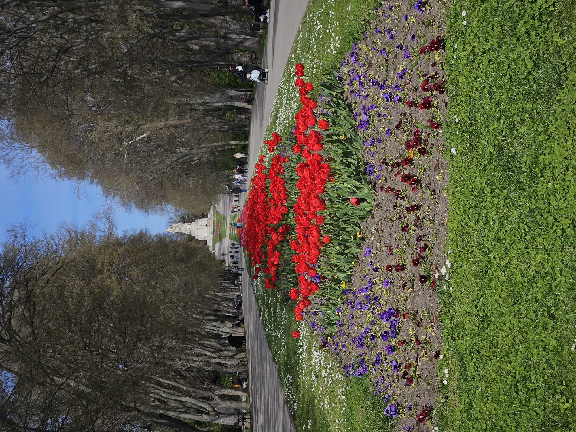 Spring day captured in Varna park with blossoms and visitors