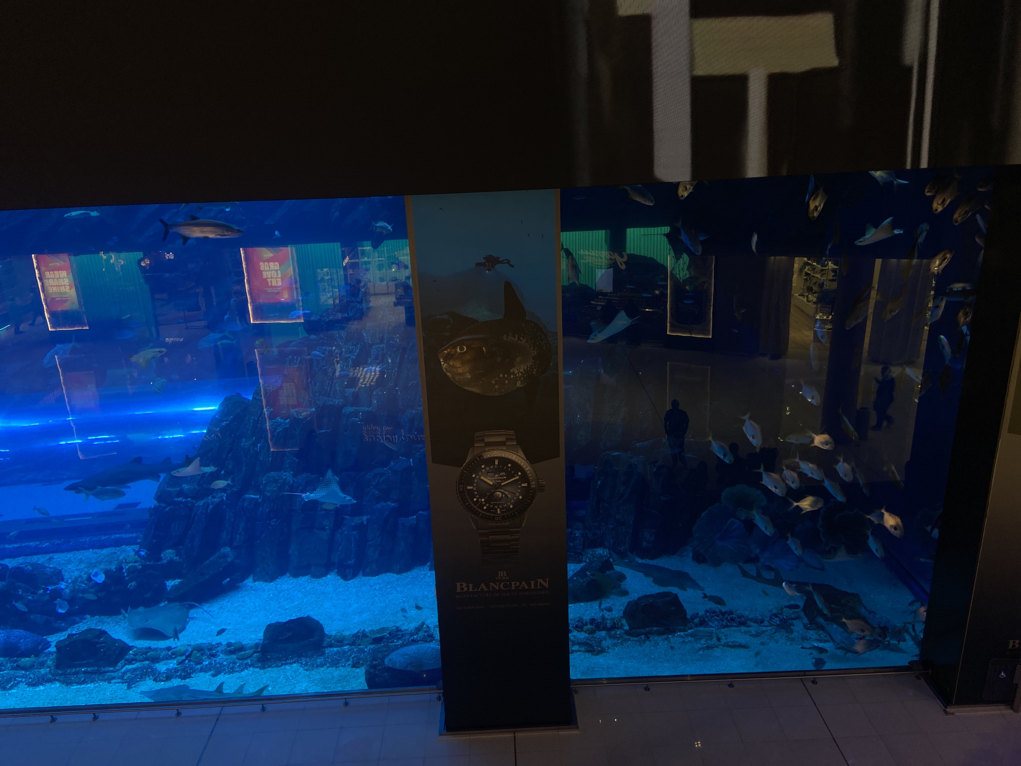 Luxury watch advertisement displayed at Dubai aquarium retail location