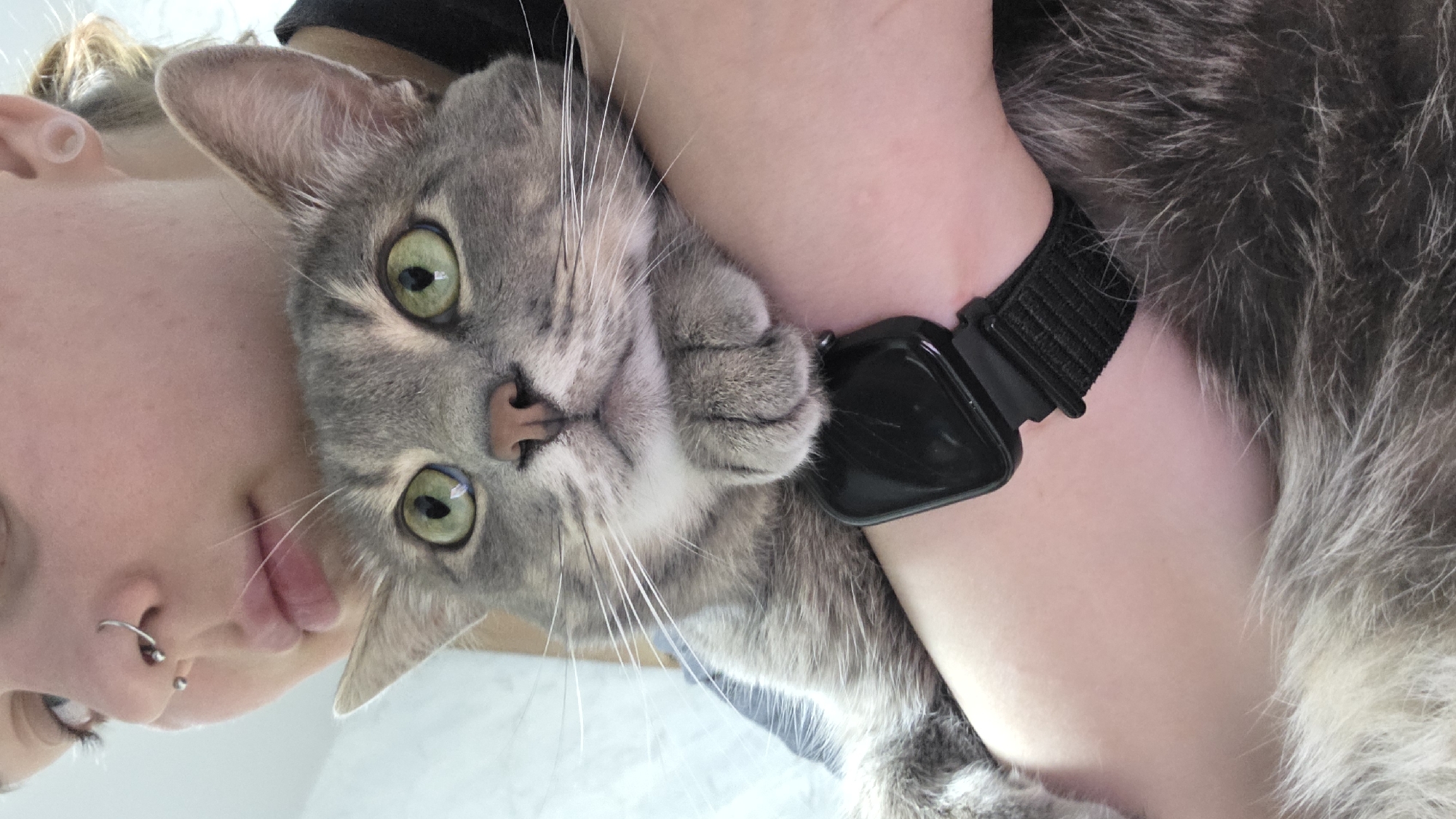 Person with piercings photographed holding gray tabby cat