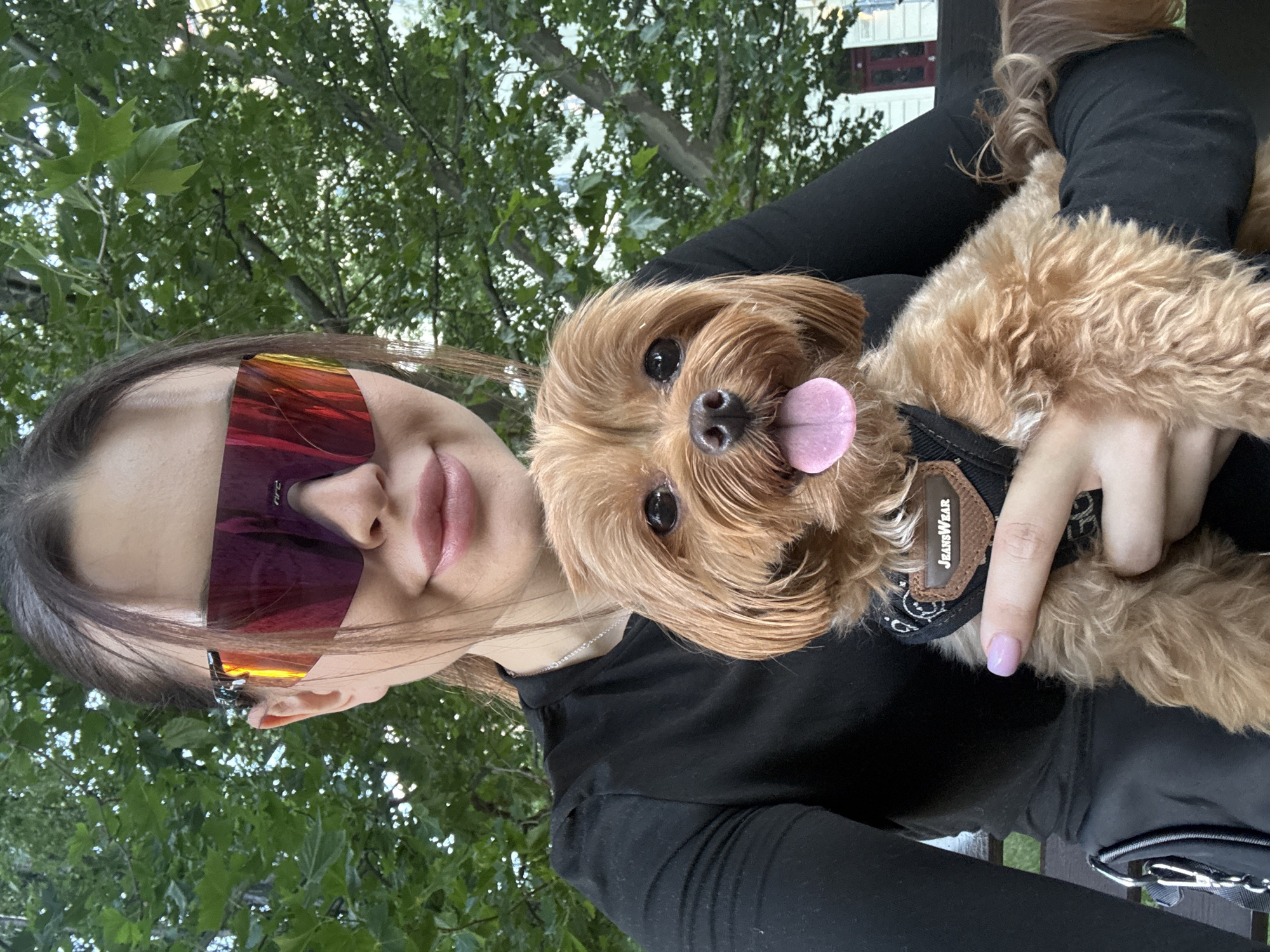 Yorkshire Terrier and its person hang out on Prague cobblestones