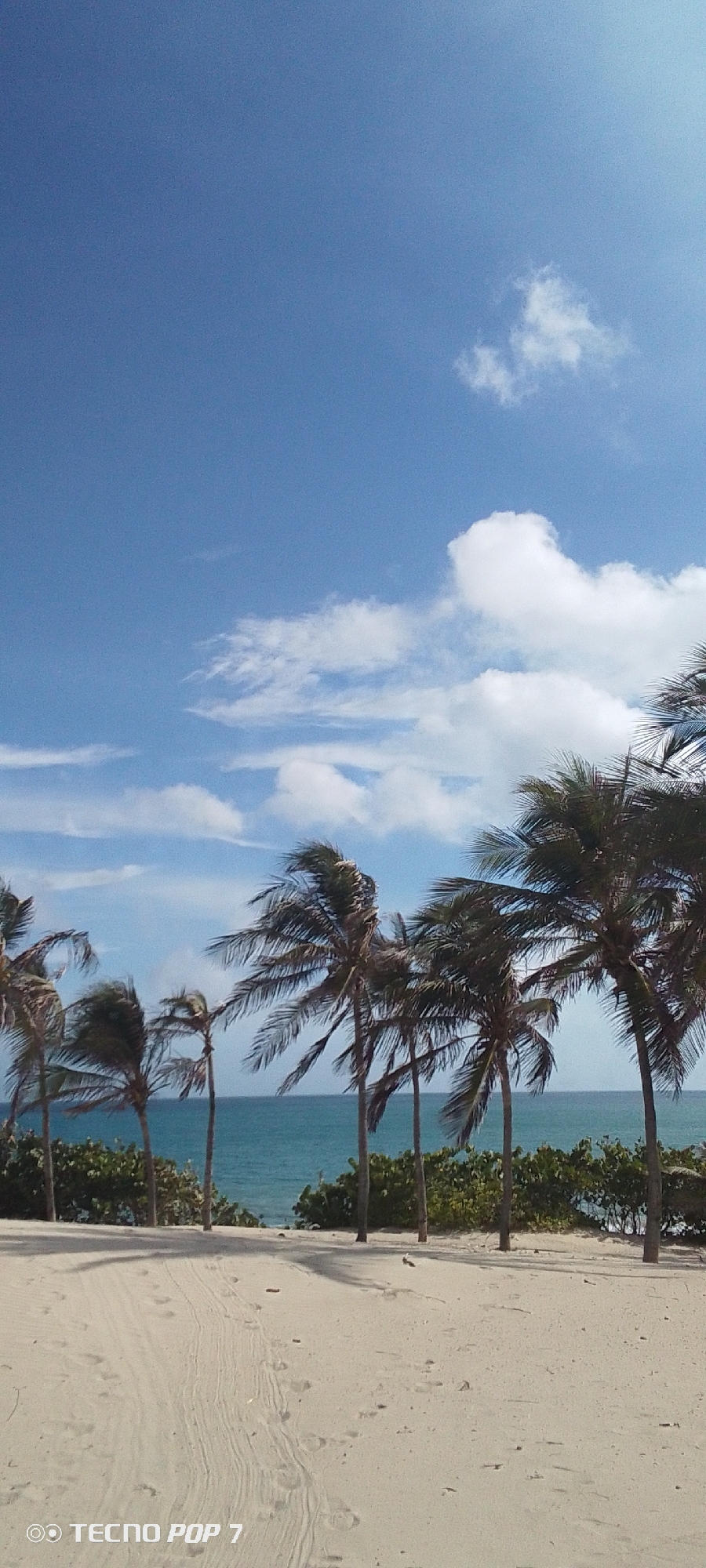 Beach scene with tire tracks captured in Pedro González