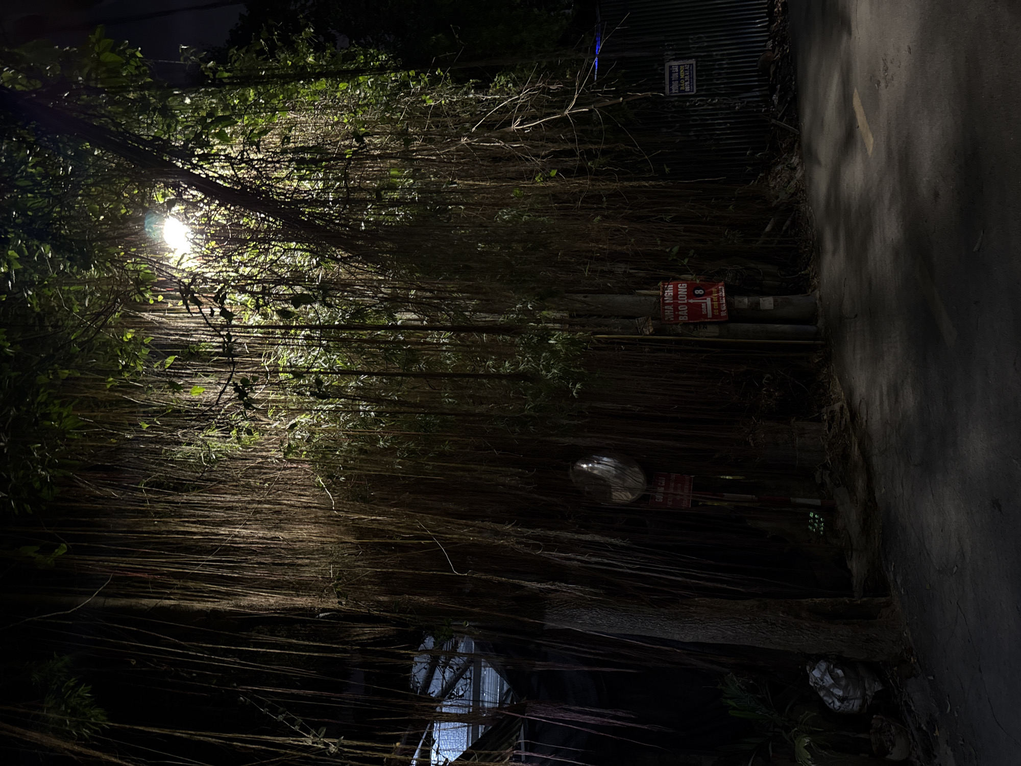 Nighttime street scenes documented across Hà Nội neighborhoods