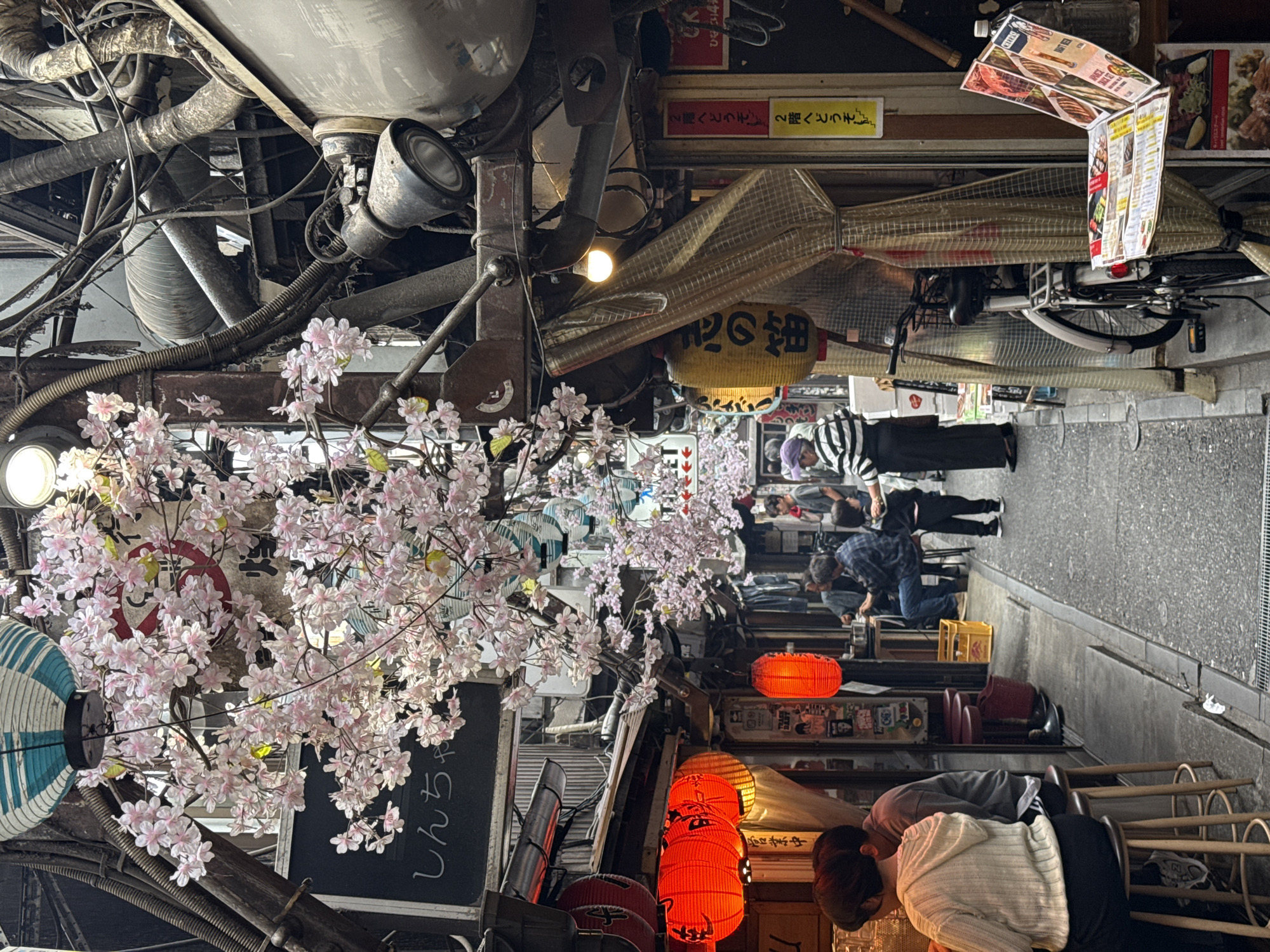 Morning tour through Shinjuku captures streets and skyline