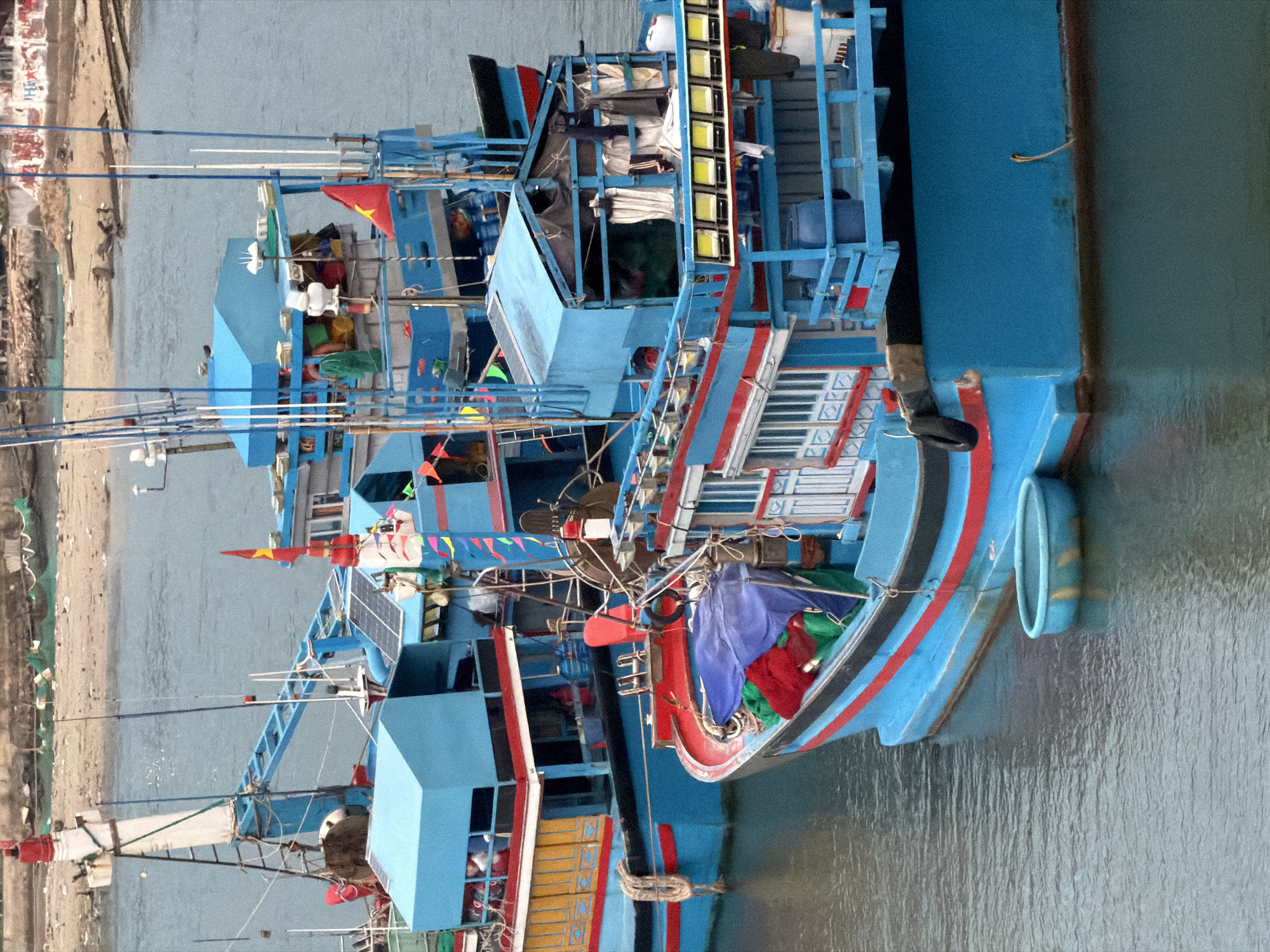 Harbor life documented in Ninh Chu Ward, Vietnam fishing village