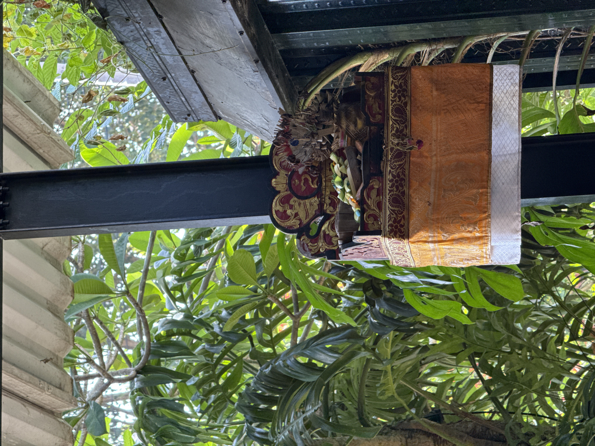 Person holds small bird in Ubud's tropical greenery