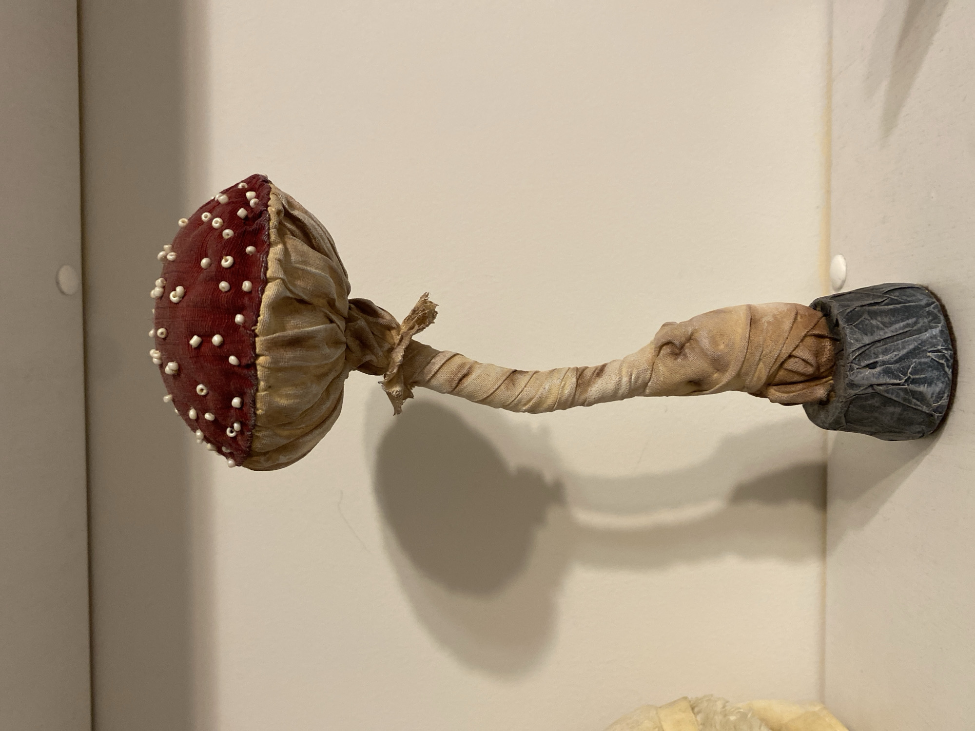Unknown witness documents eclectic collection of objects in Sochi