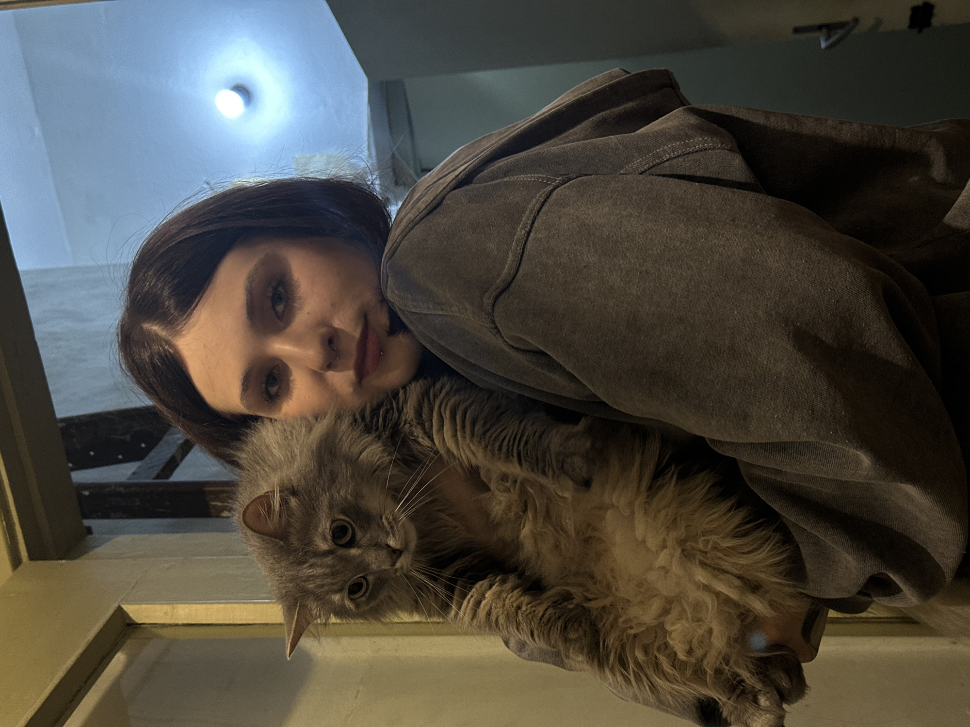 Gray cat explores a Saint Petersburg home, June evening