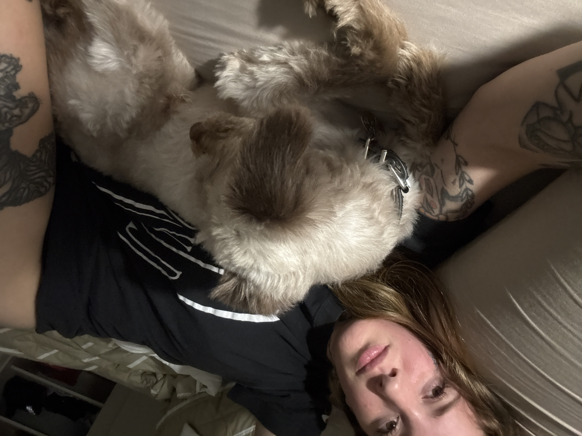 Woman enjoys quiet night with dog and pizza in Cordoba