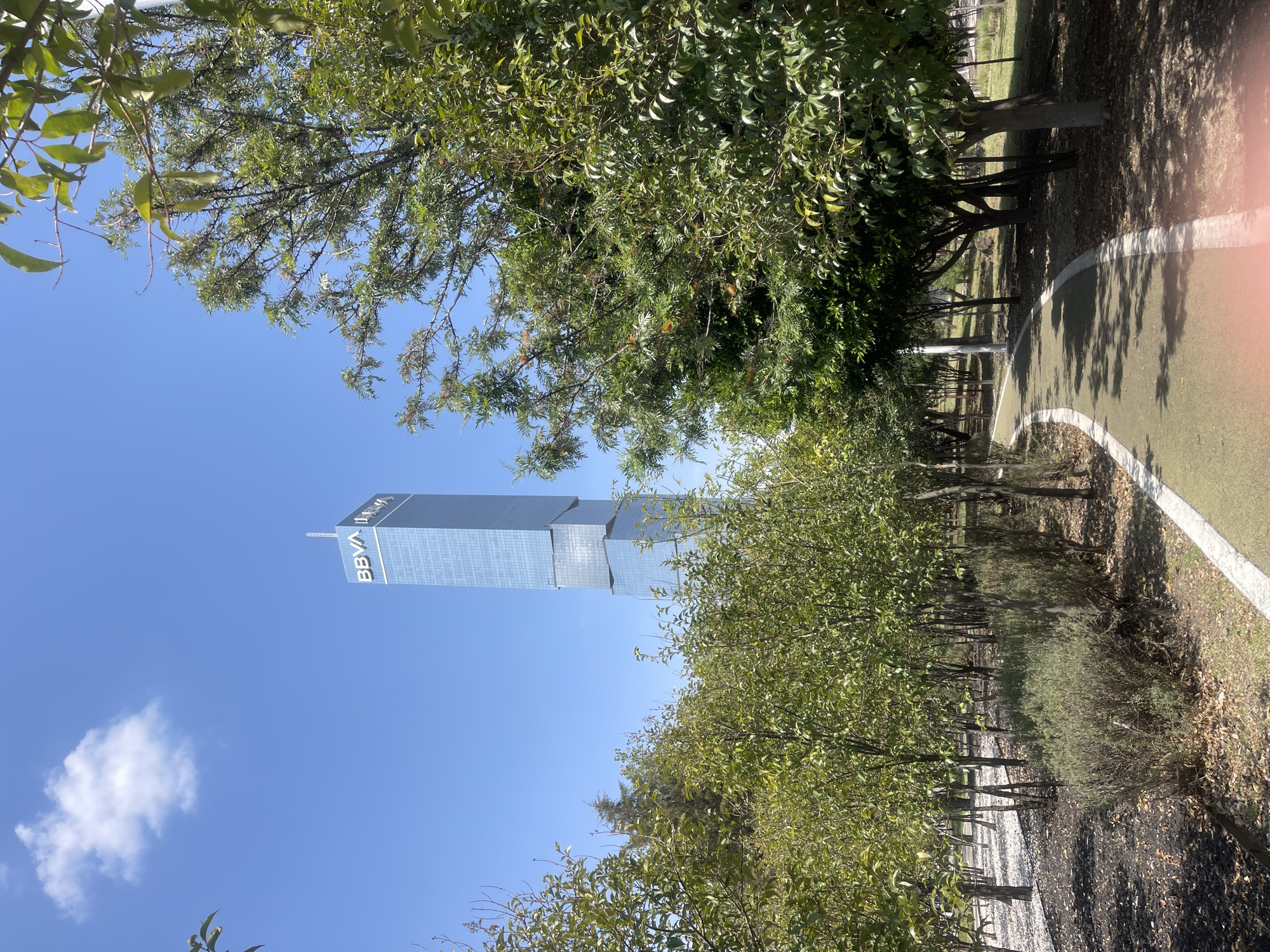 BBVA Tower viewed through trees in Mexican green space
