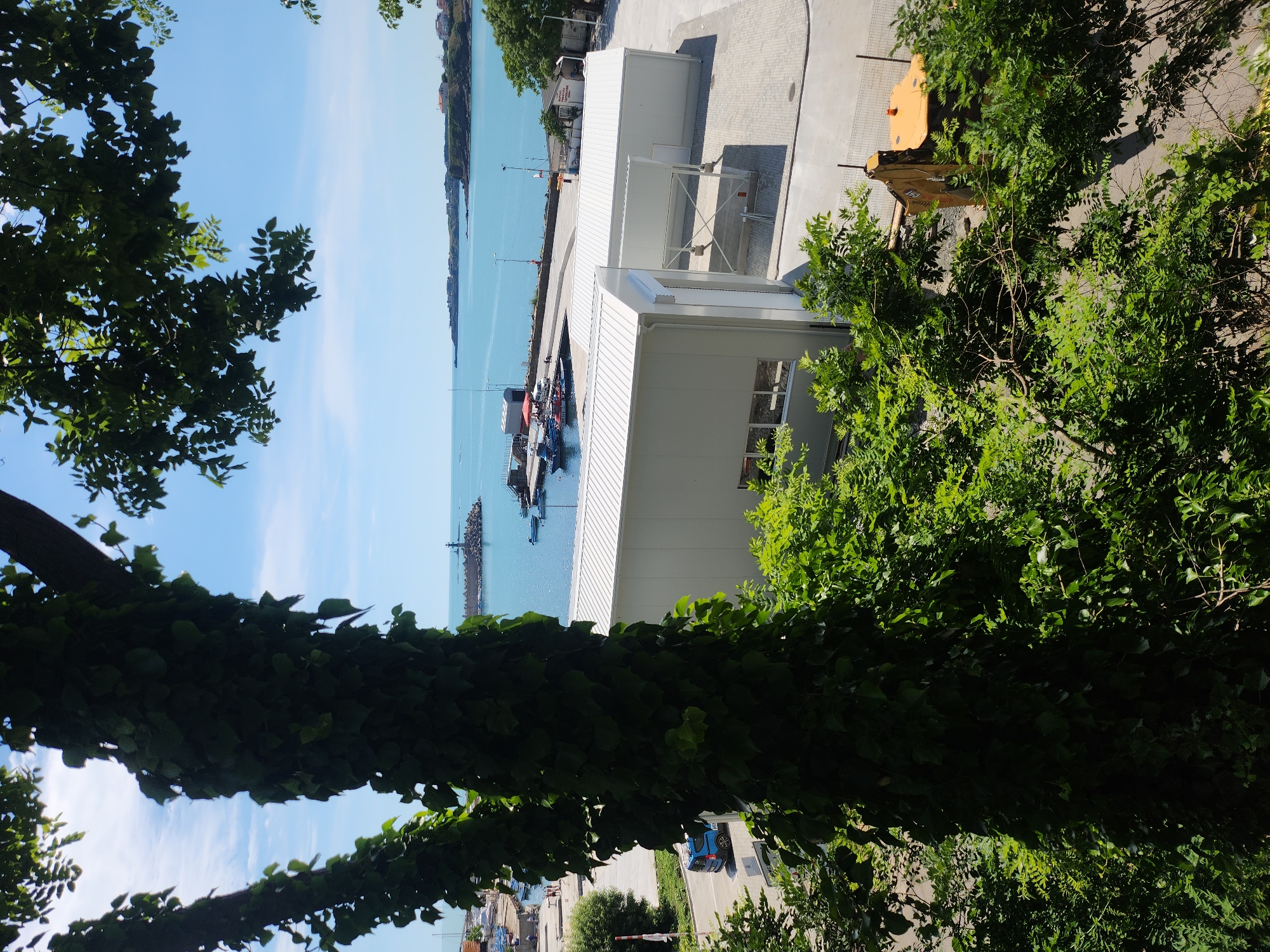 Sunny harbor views through greenery in Tsarevo, Bulgaria