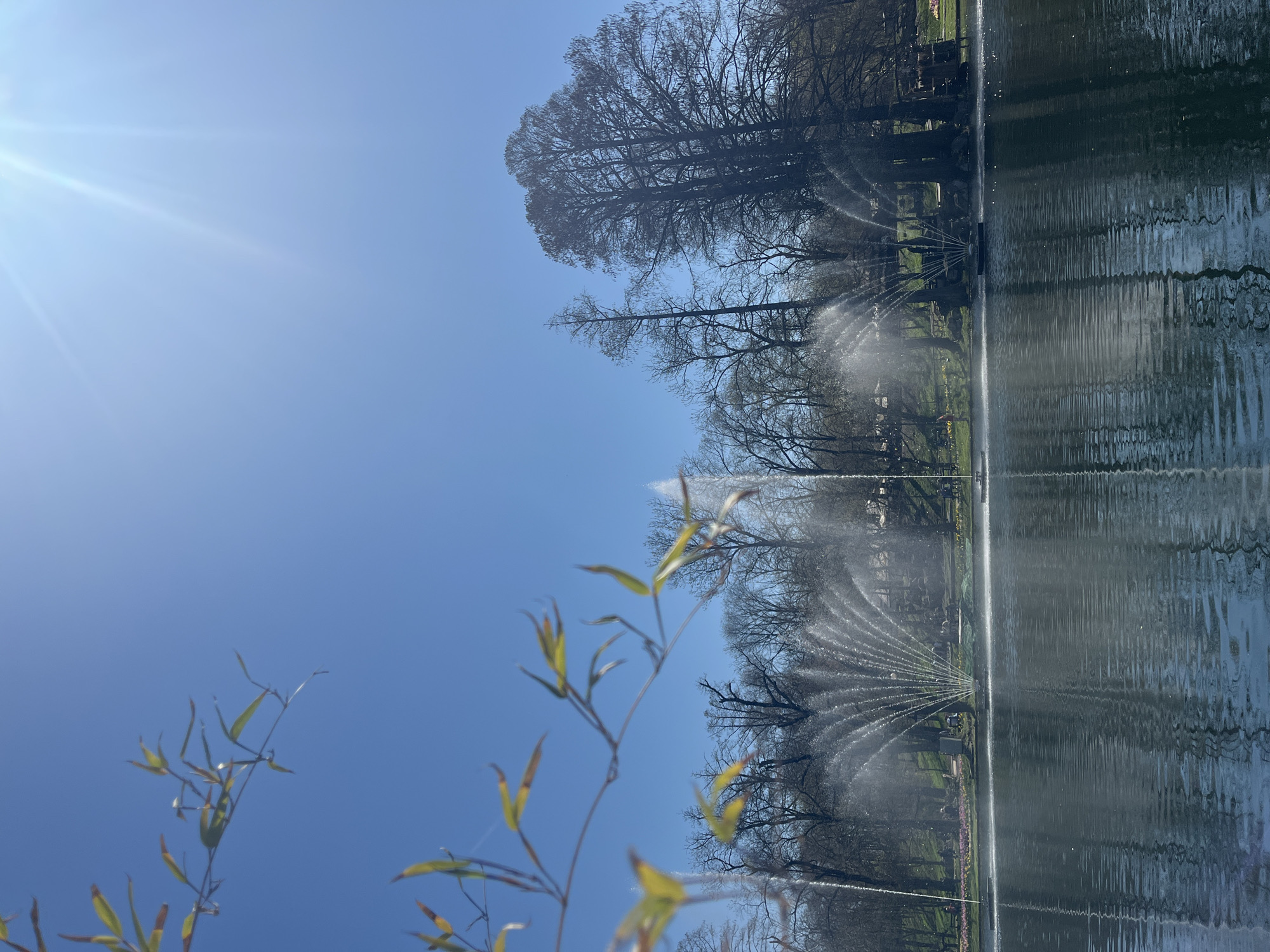 Clear morning skies observed at Craiova park