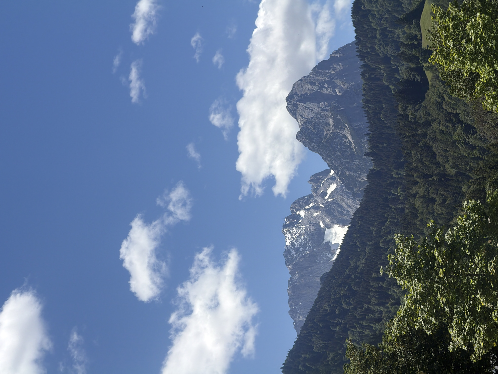 Mountain forest landscape documented under clear skies