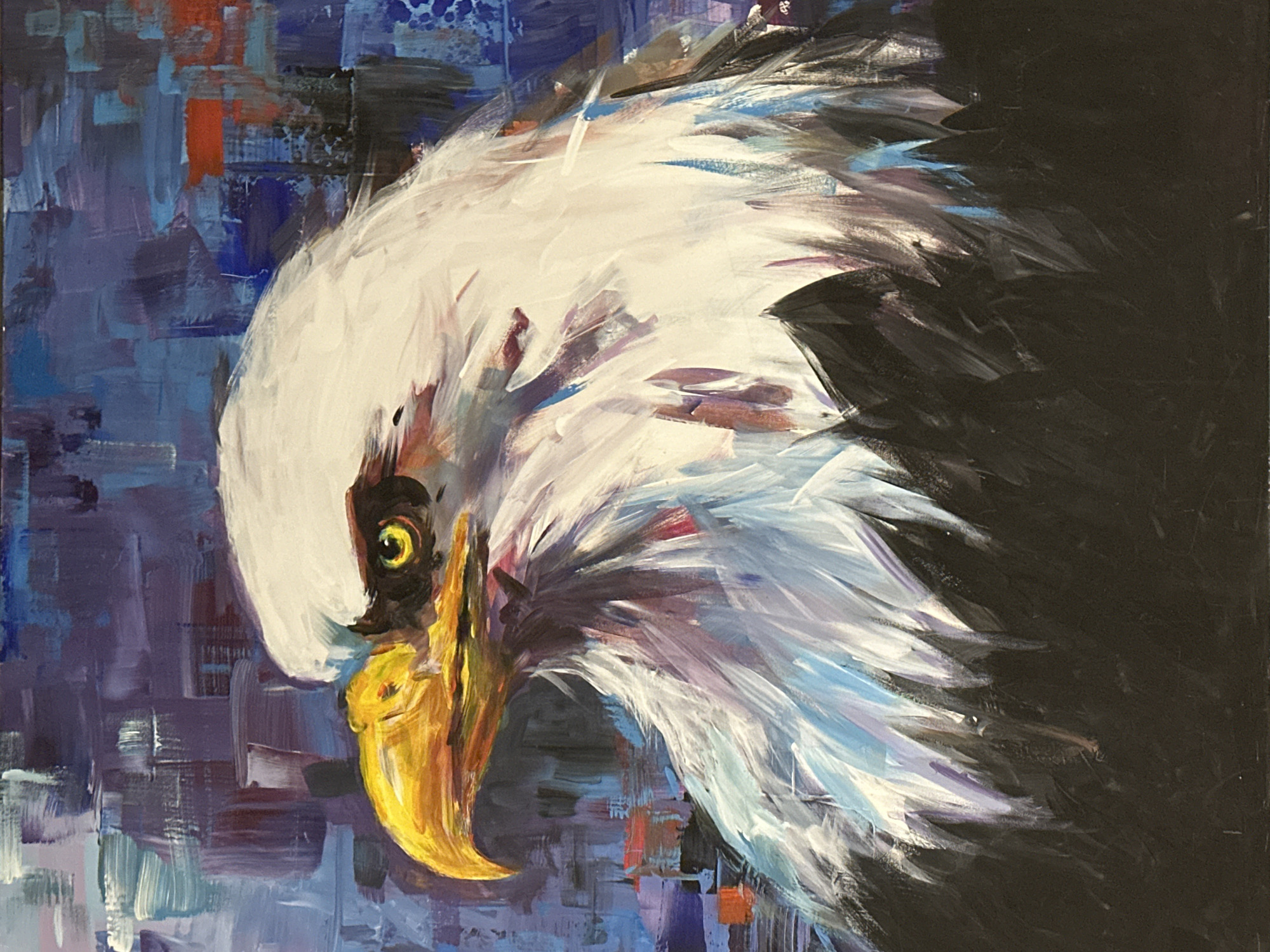 Student Art Display Documented at Coquitlam School